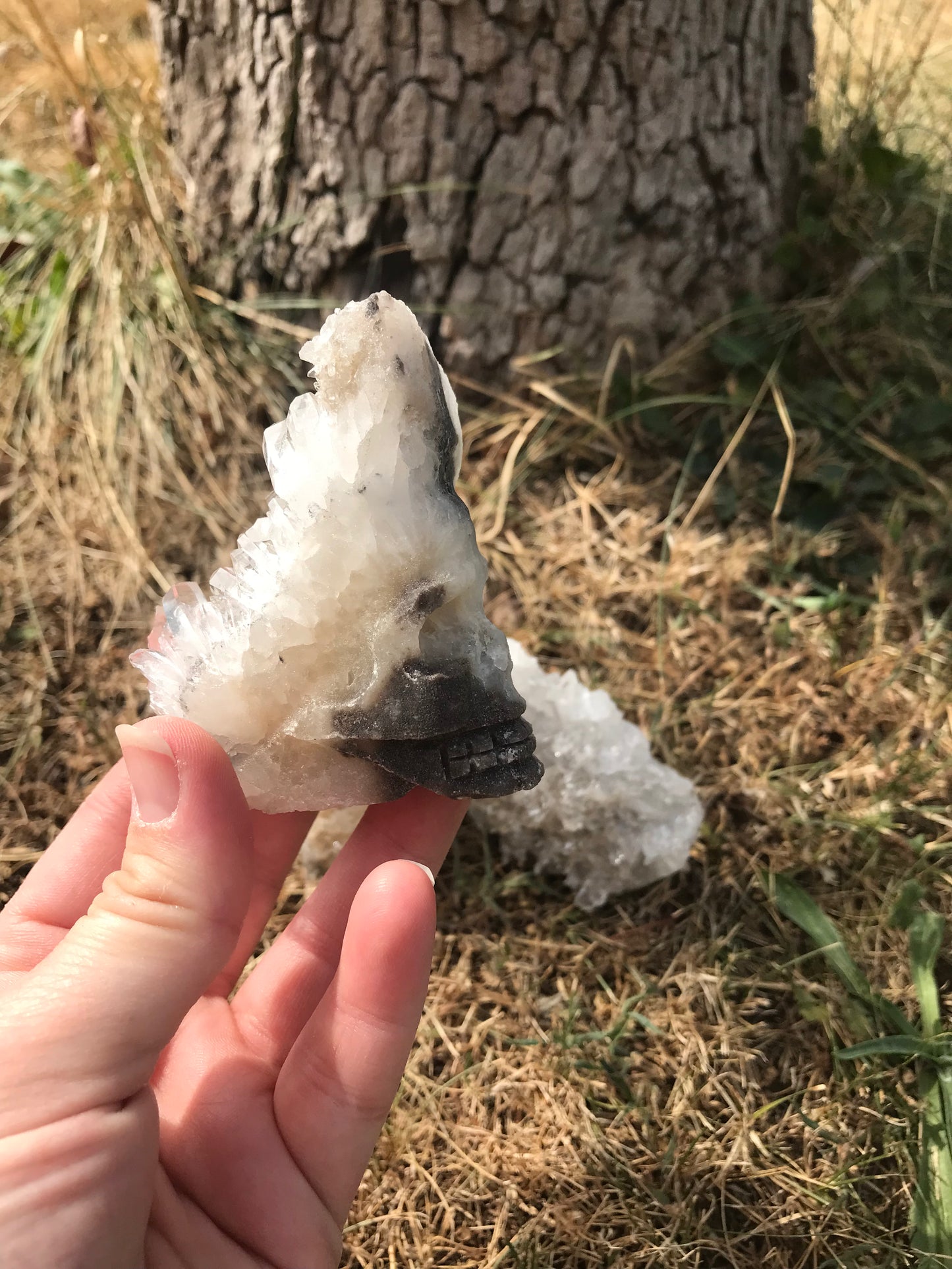 Clear Quartz Cluster Skulls