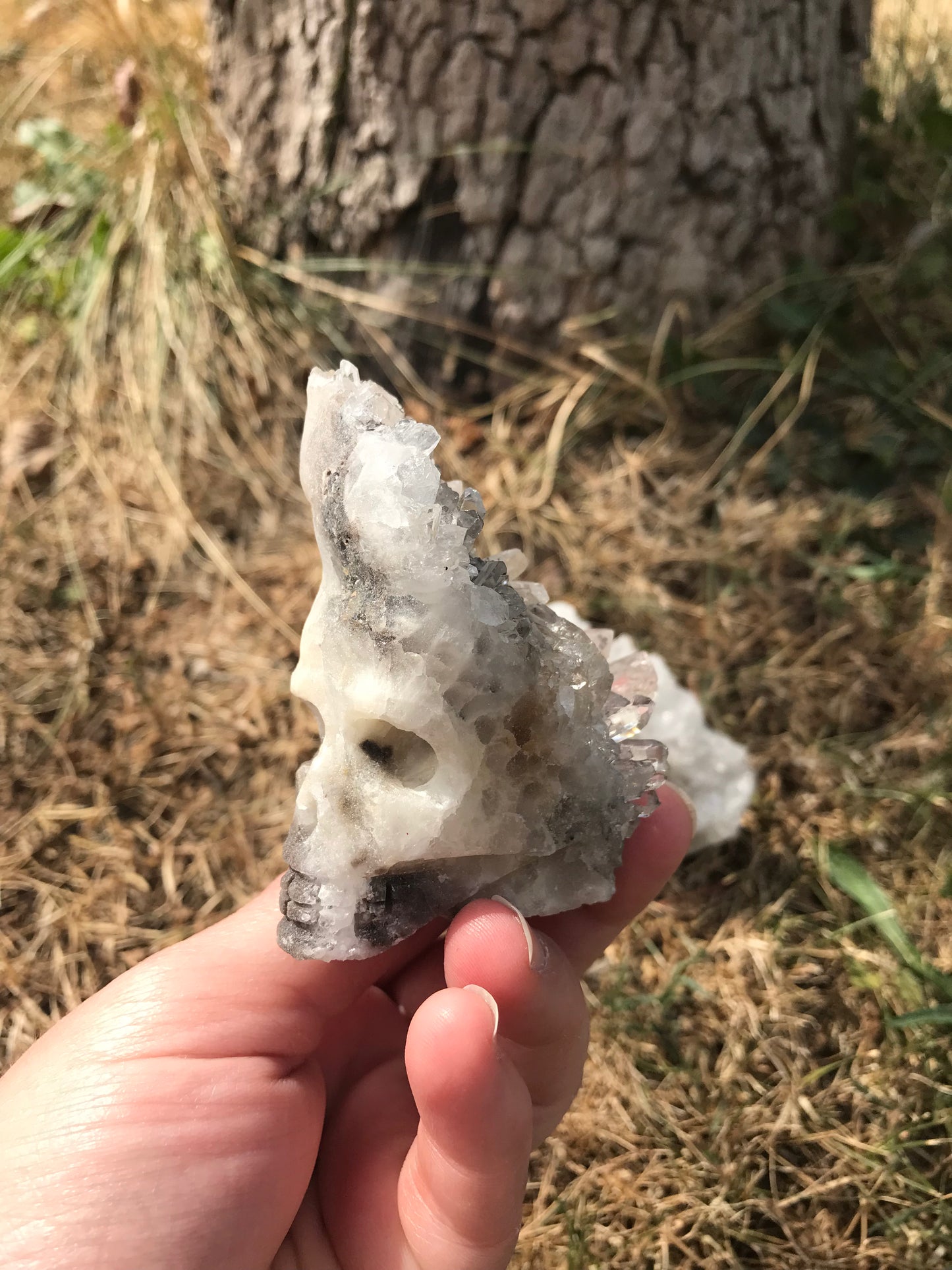 Clear Quartz Cluster Skulls