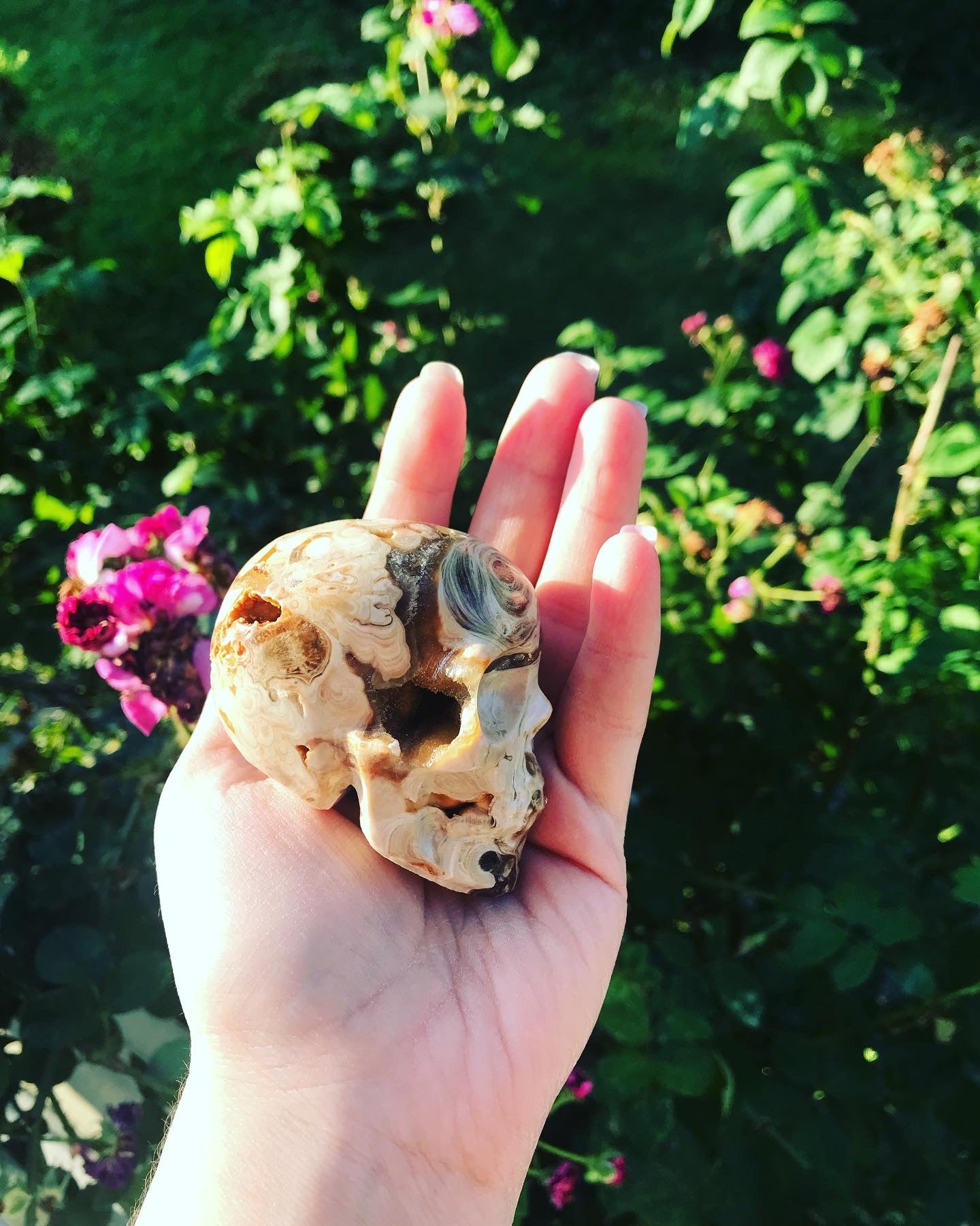 Druzy Chocolate Calcite Skulls