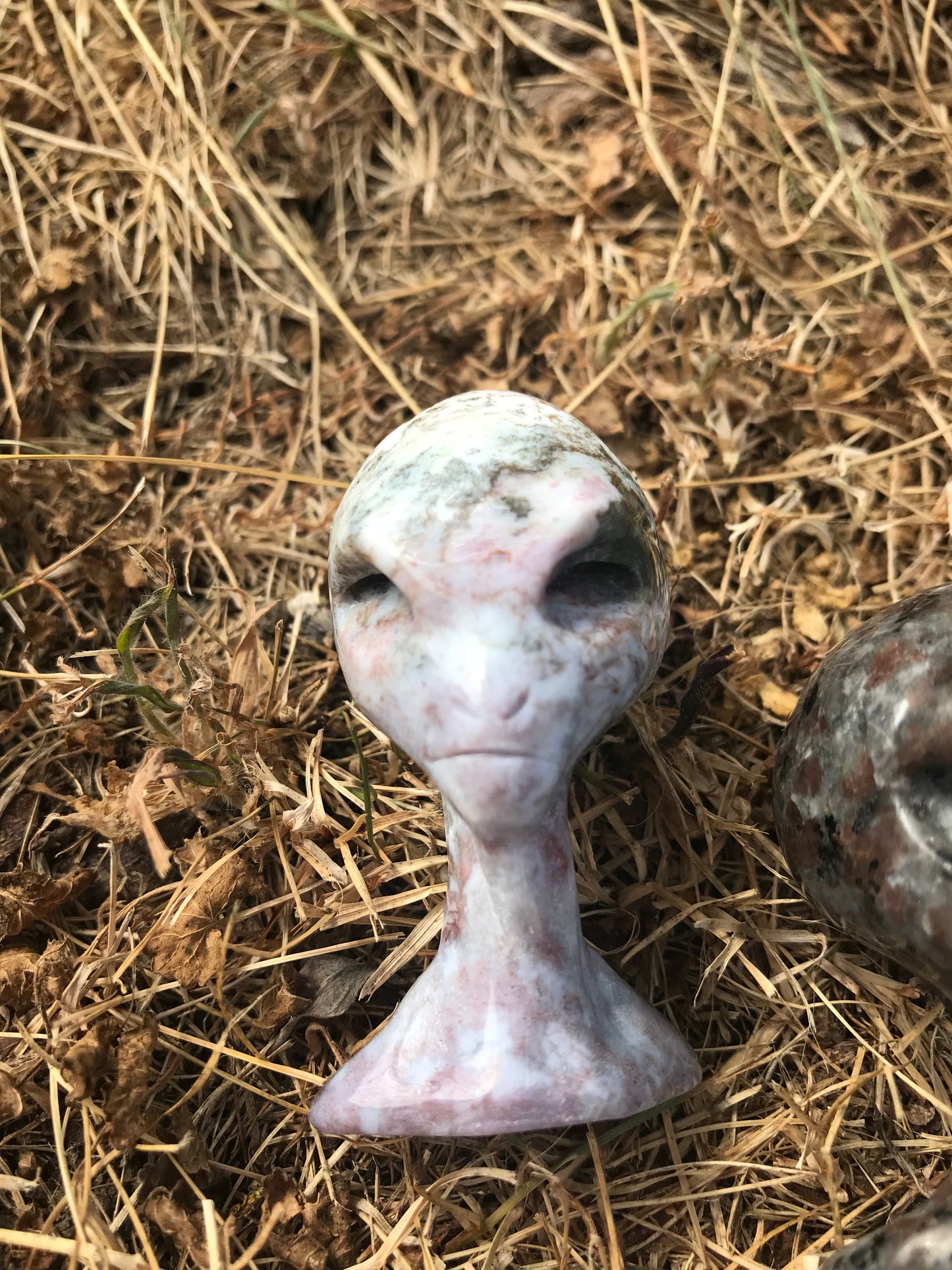 Oceanic Jasper (oj) Alien Bust