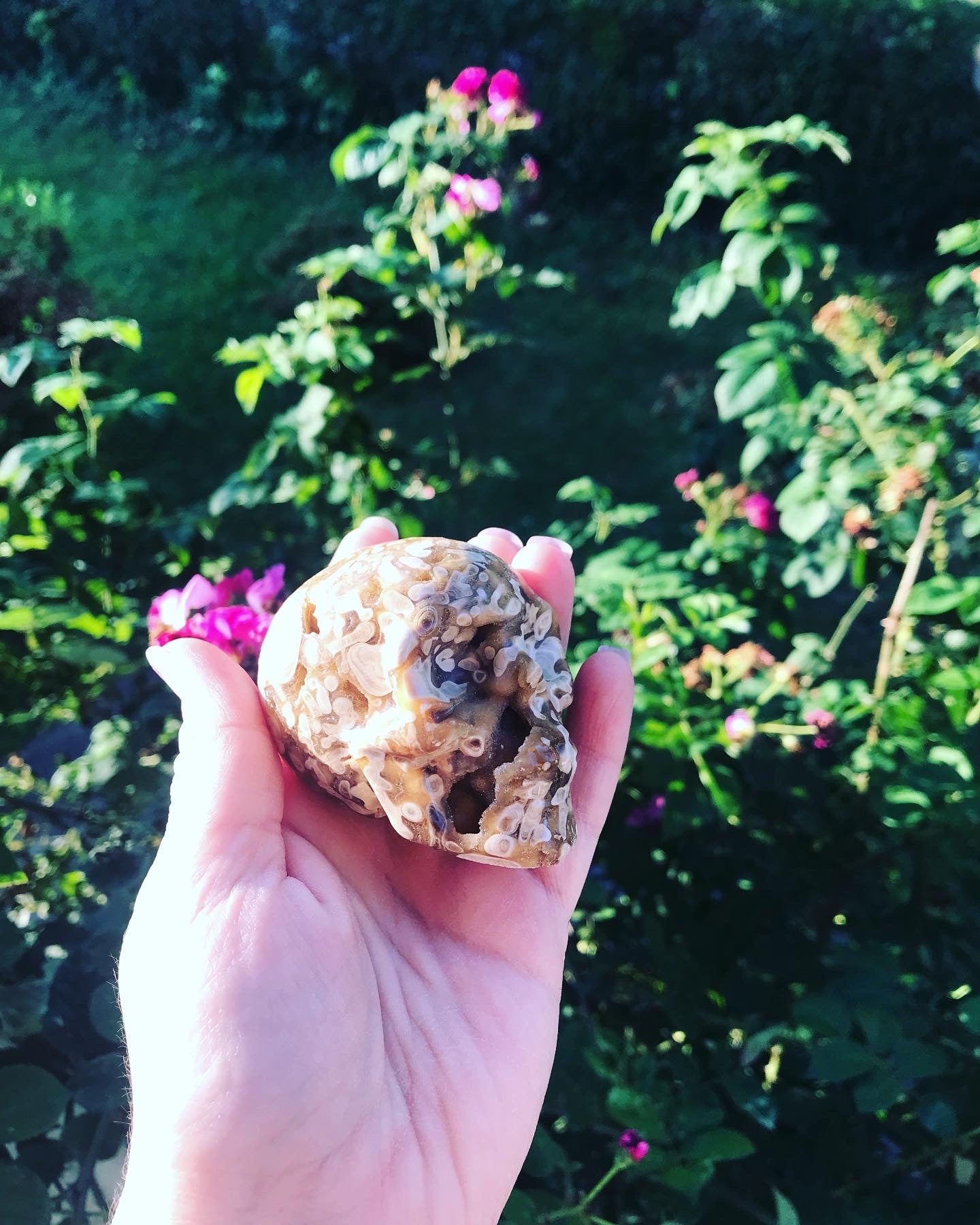 Druzy Chocolate Calcite Skulls