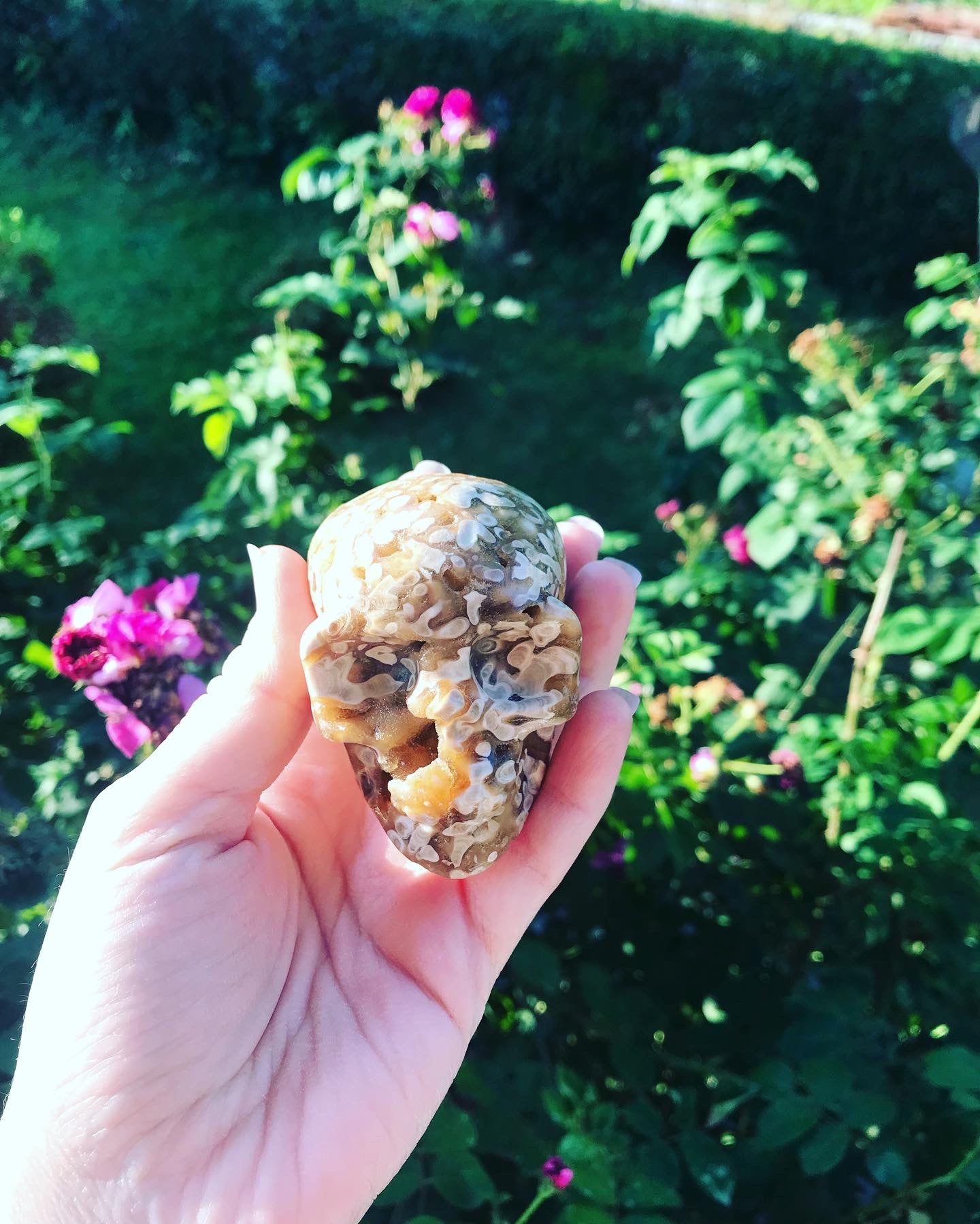 Druzy Chocolate Calcite Skulls