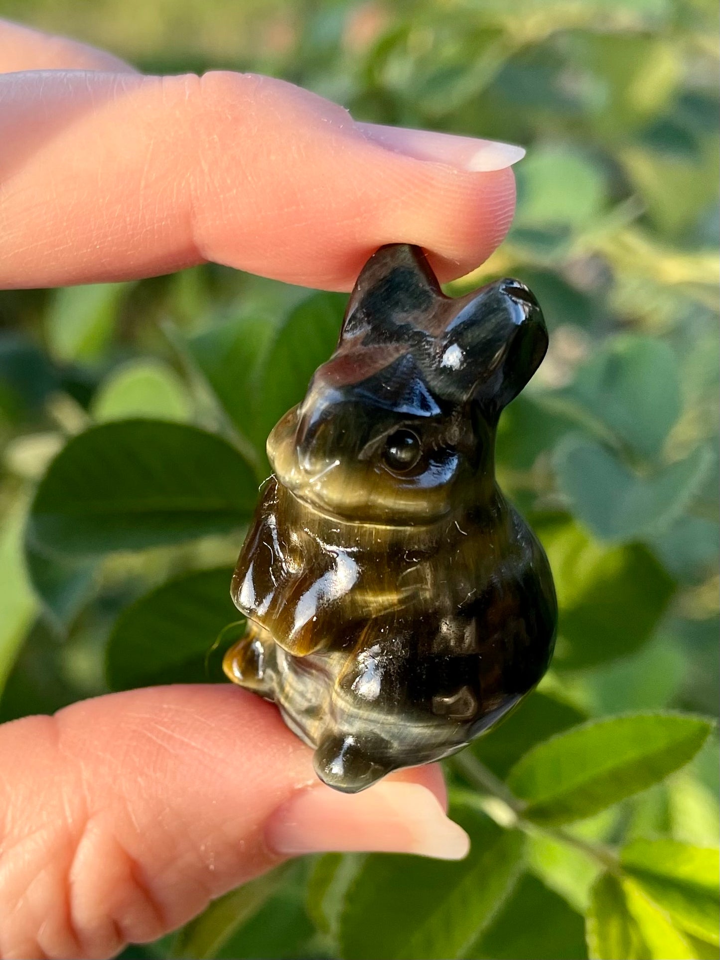 Black Tourmaline in Quartz/Blue Tigers Eye Bunnies