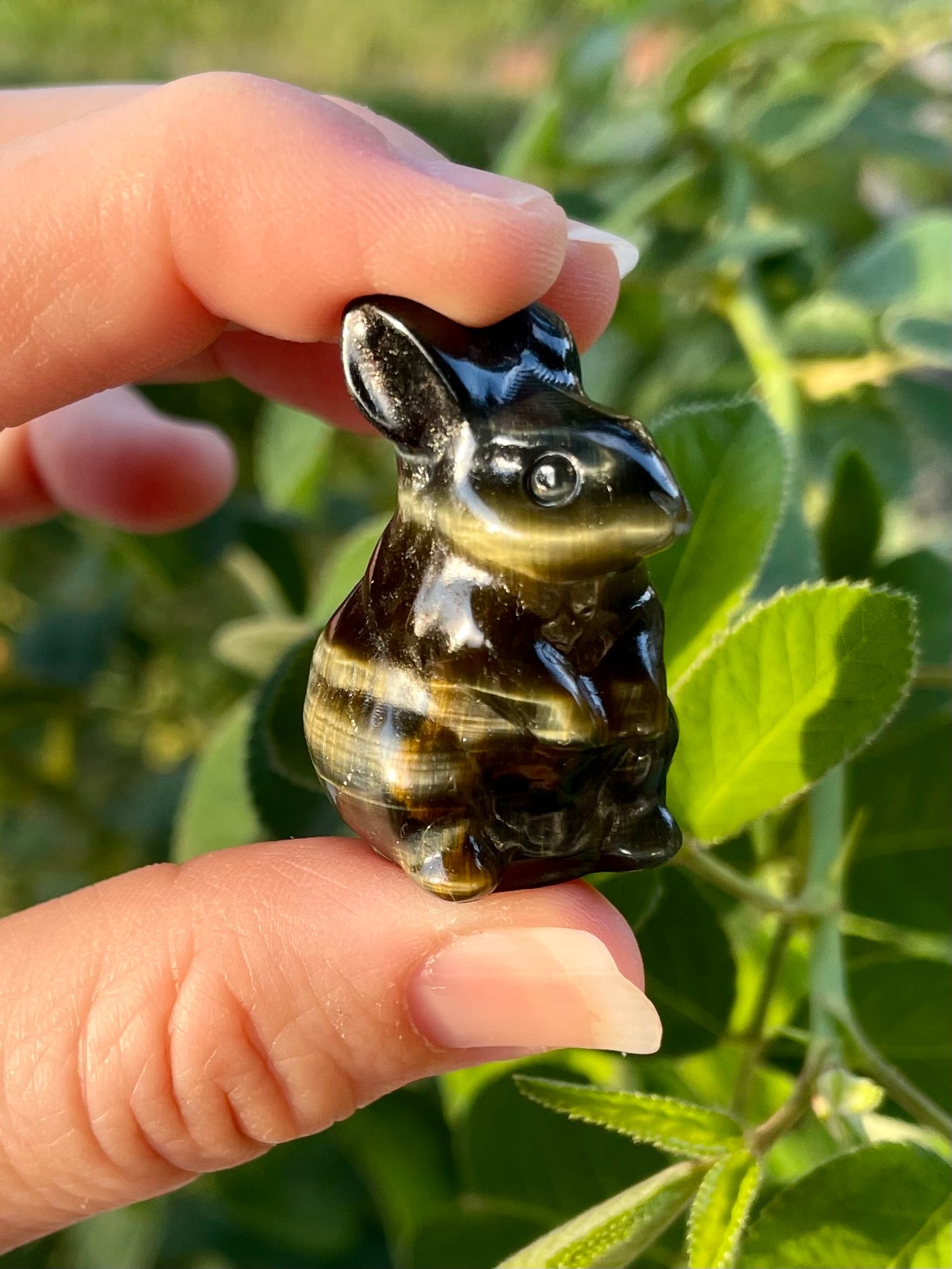 Black Tourmaline in Quartz/Blue Tigers Eye Bunnies