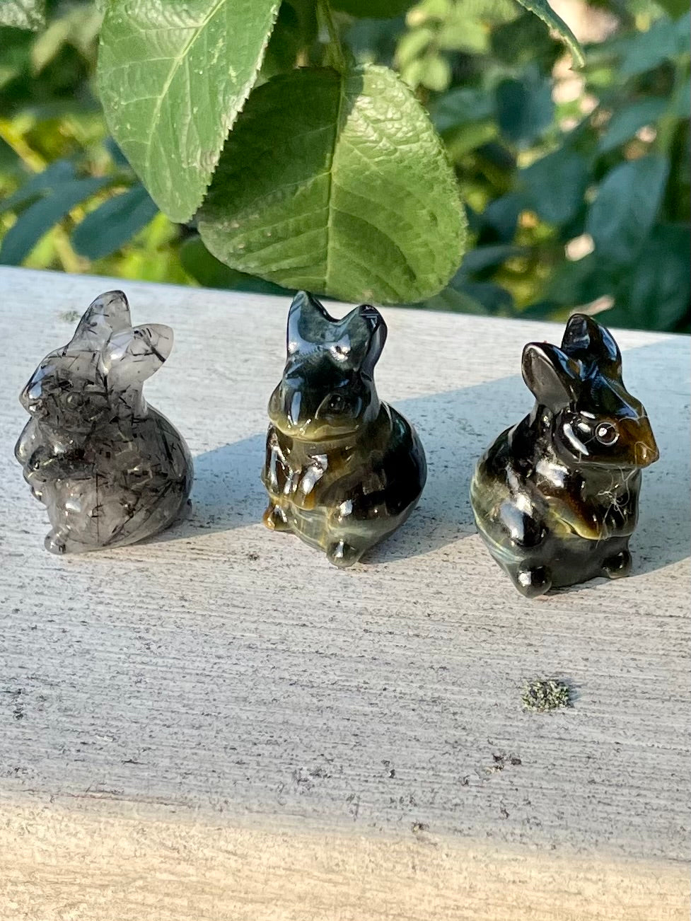 Black Tourmaline in Quartz/Blue Tigers Eye Bunnies