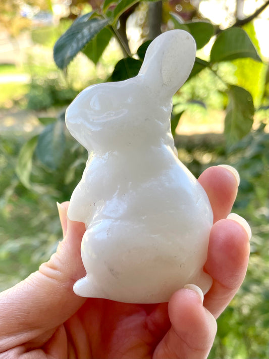 White Jade Rabbit