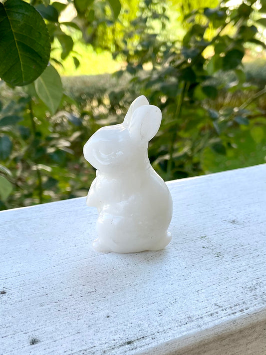White Jade Rabbit