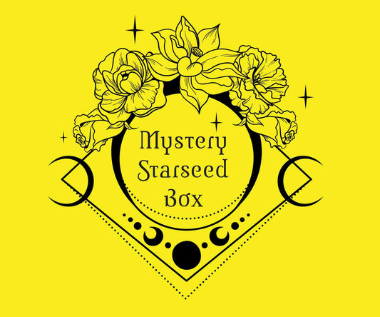 Mystery Starseed Box
