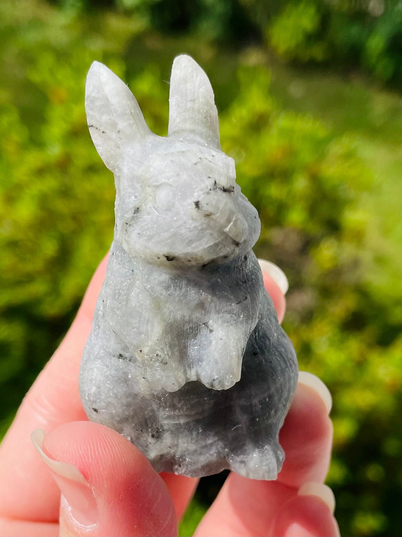 Unpolished Labradorite Bunny