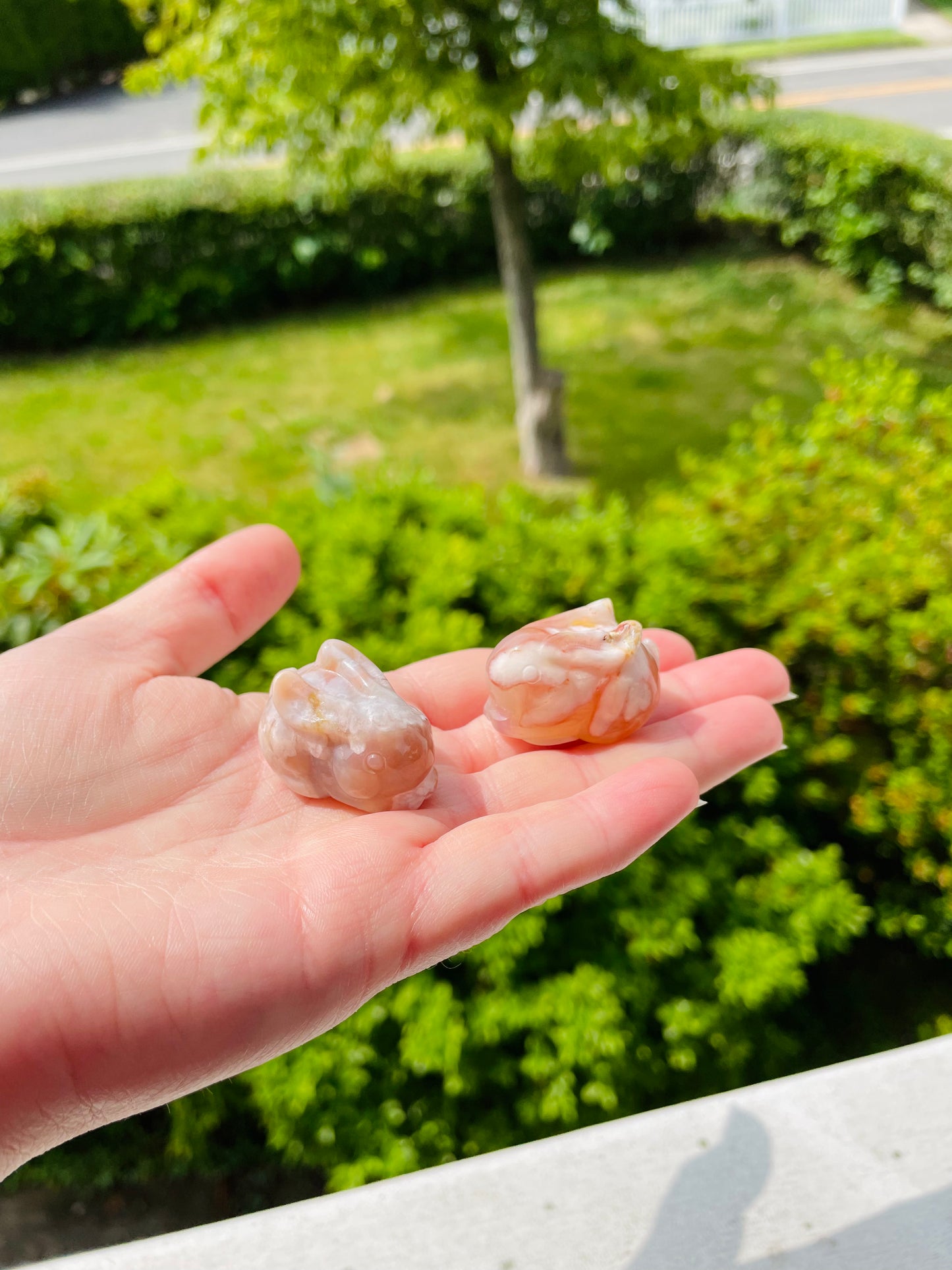 Flower Agate Bunny