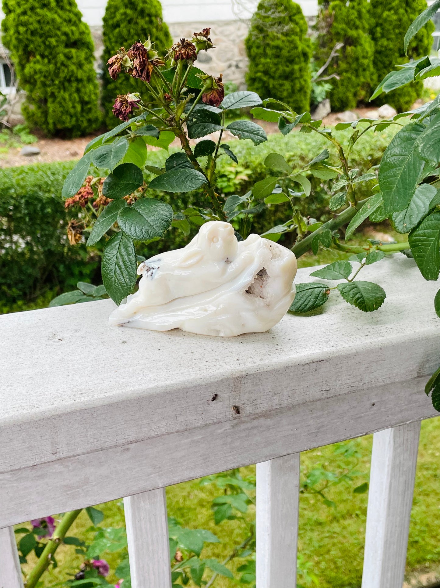 White Druzy Agate Rabbit