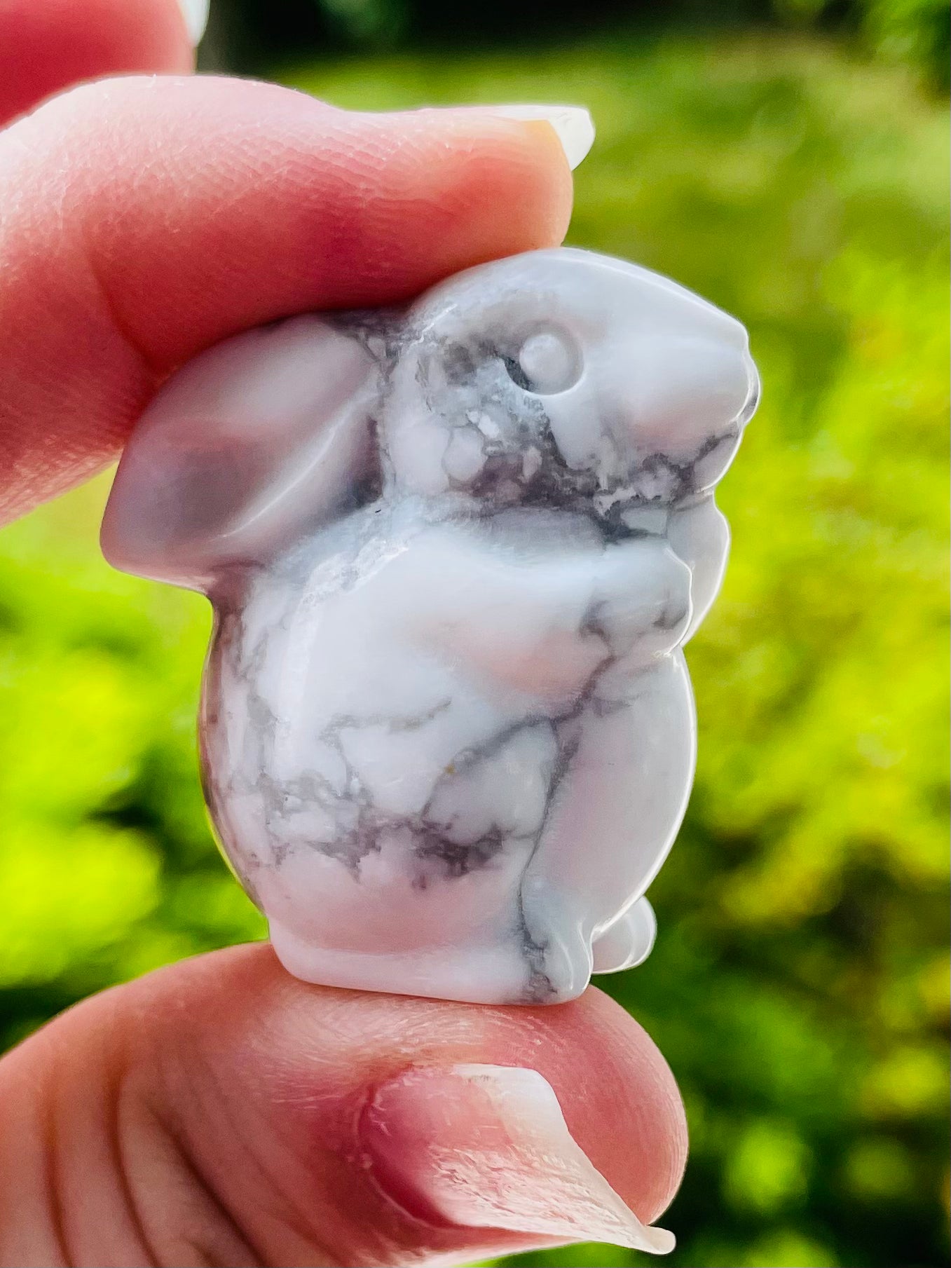 Howlite  Bunny