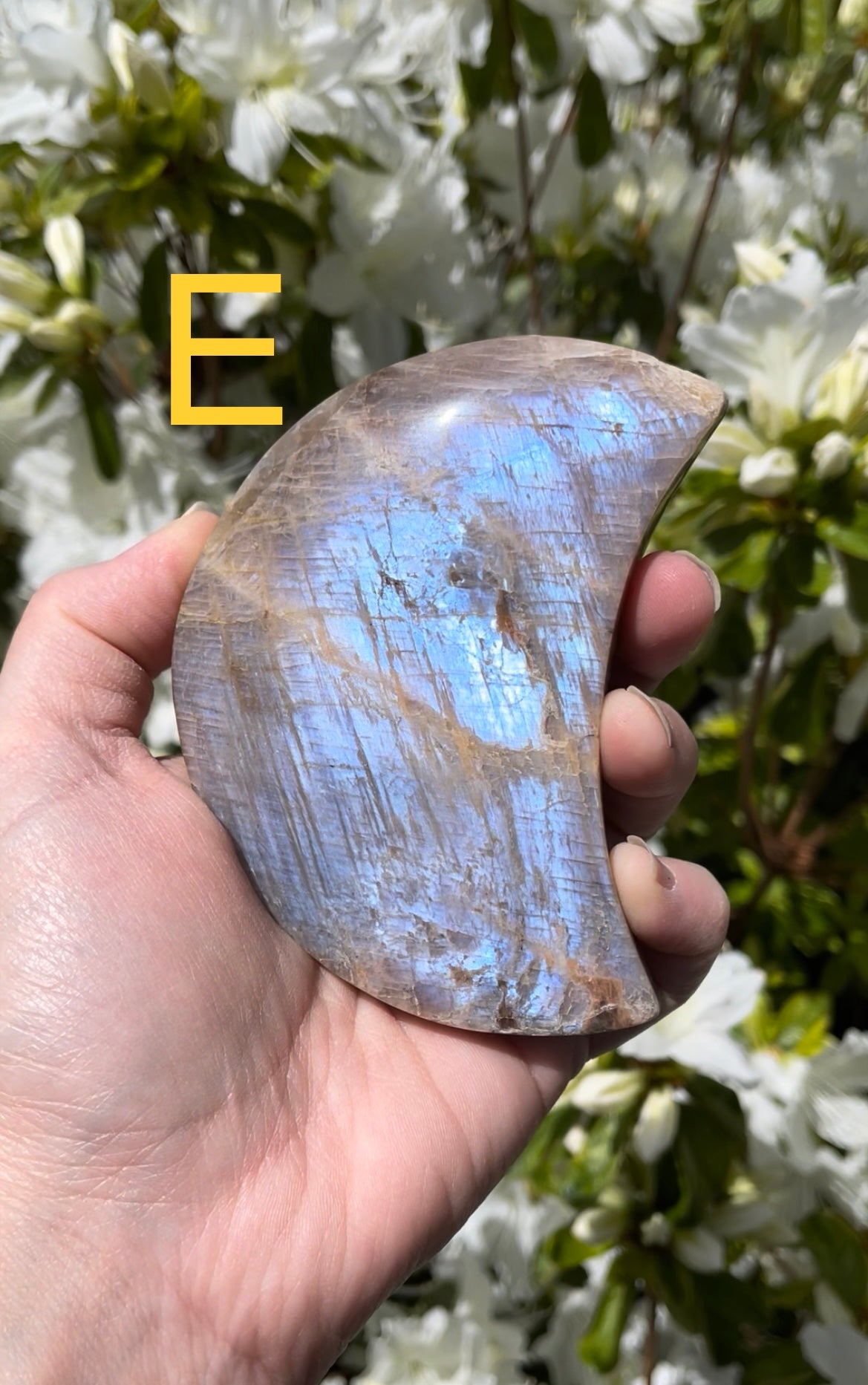 Moonstone/Sunstone & Agate Moon