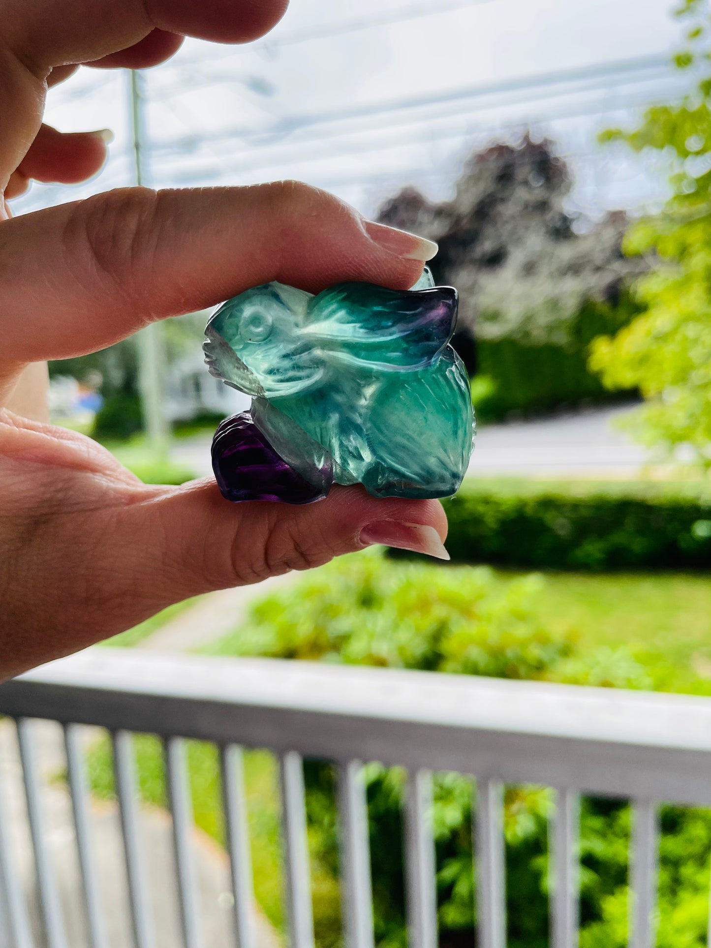 Rainbow Fluorite Rabbit