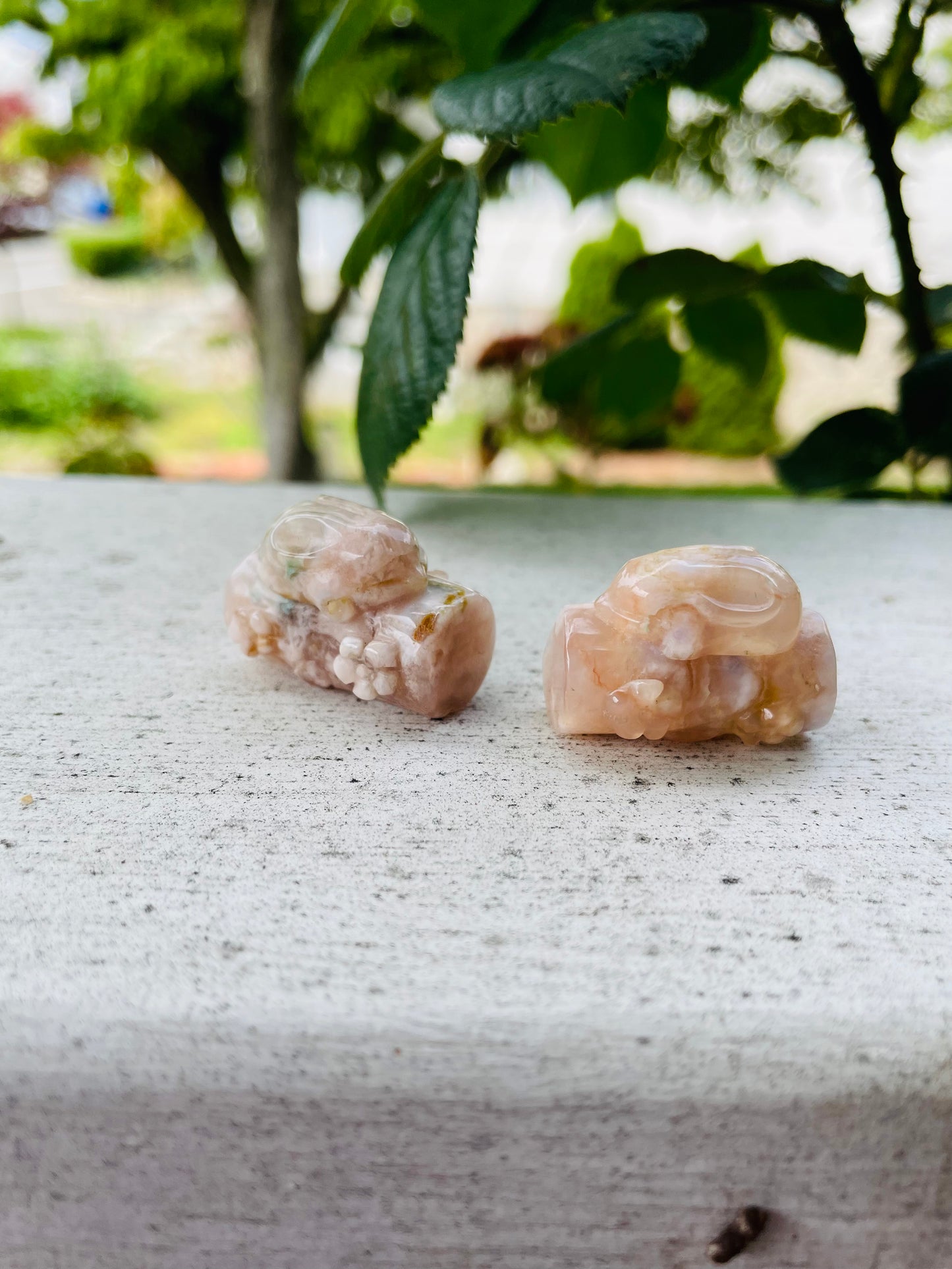 Flower Agate Bunny on Log