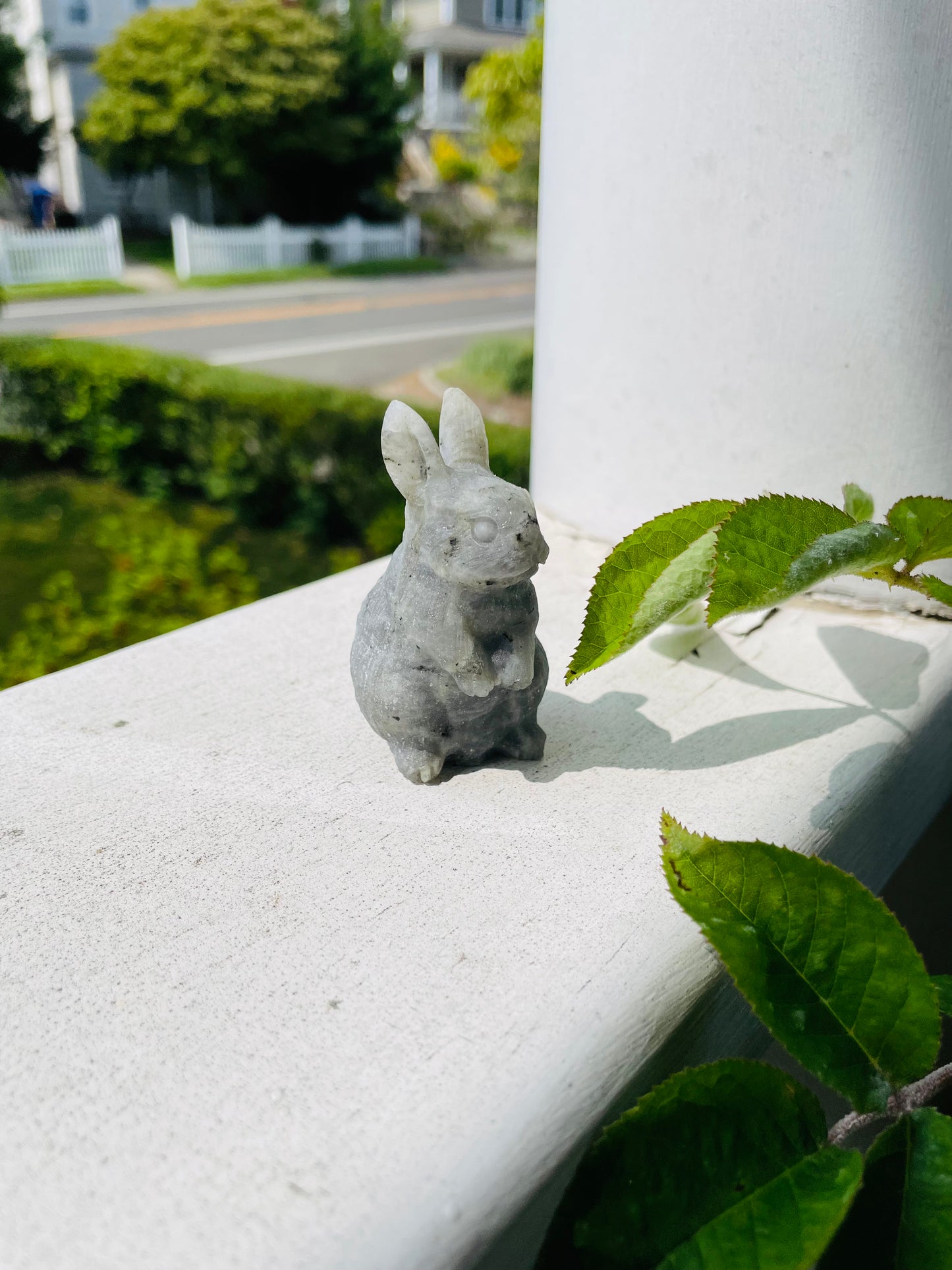 Unpolished Labradorite Bunny