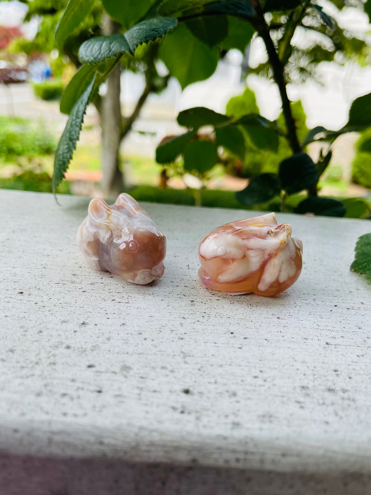 Flower Agate Bunny