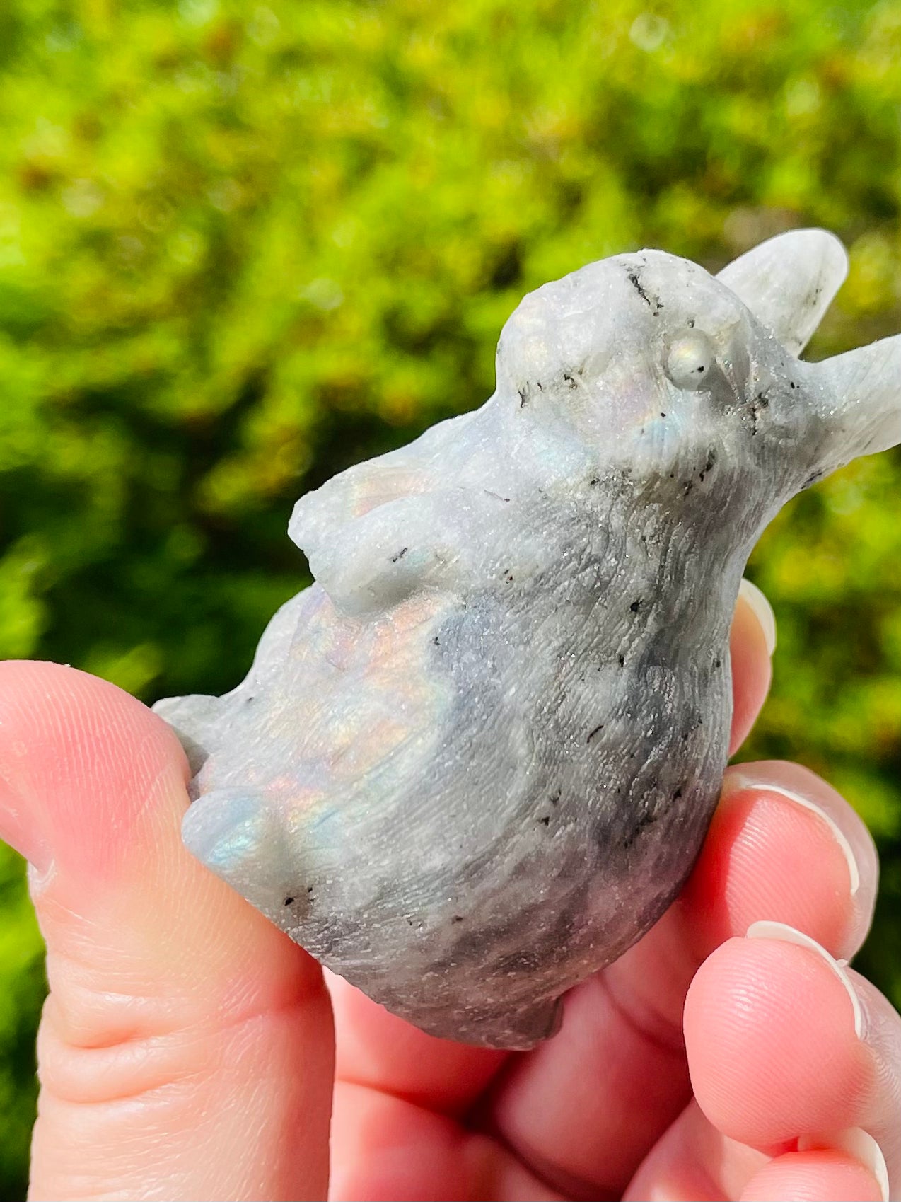 Unpolished Labradorite Bunny