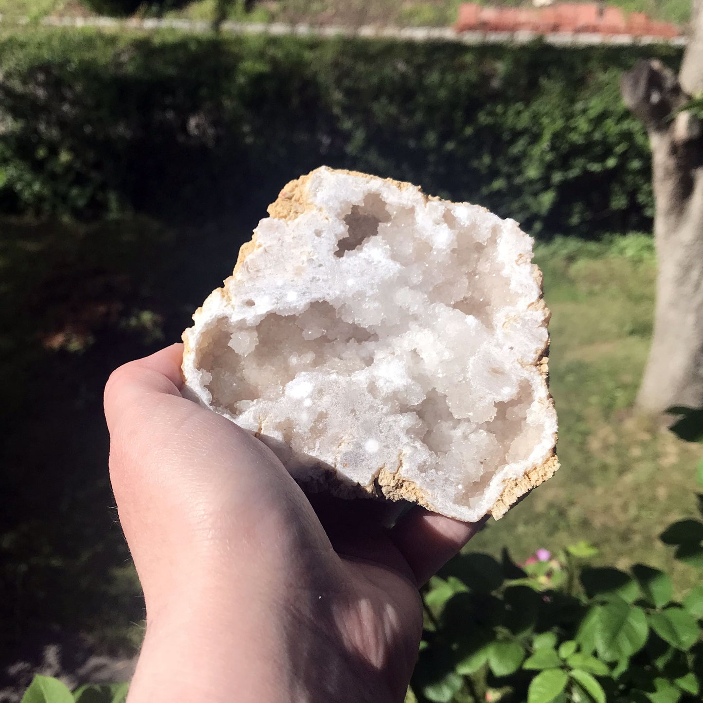 Druzy Agate Geo Half