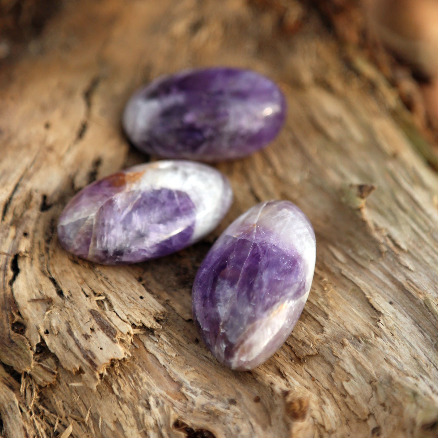 Amethyst Palm Stone