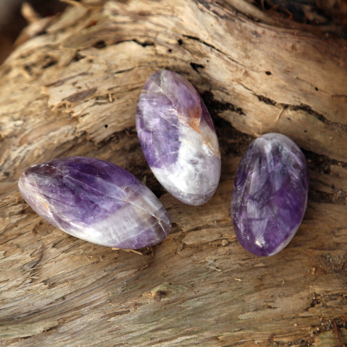 Amethyst Palm Stone