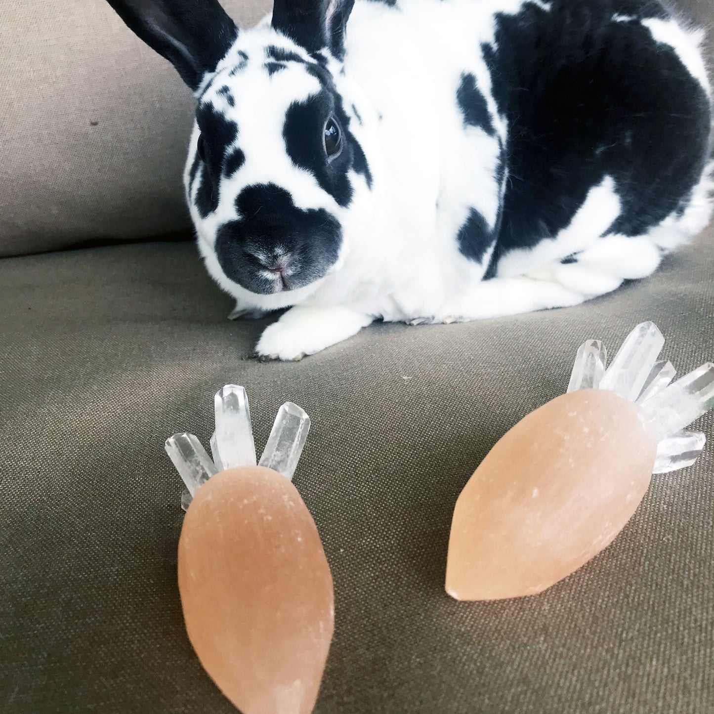 Orange Selenite Carrots