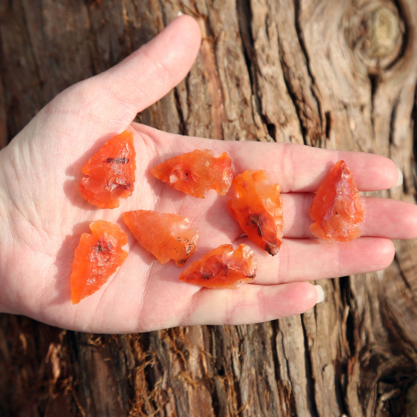 Carnelian Arrowheads