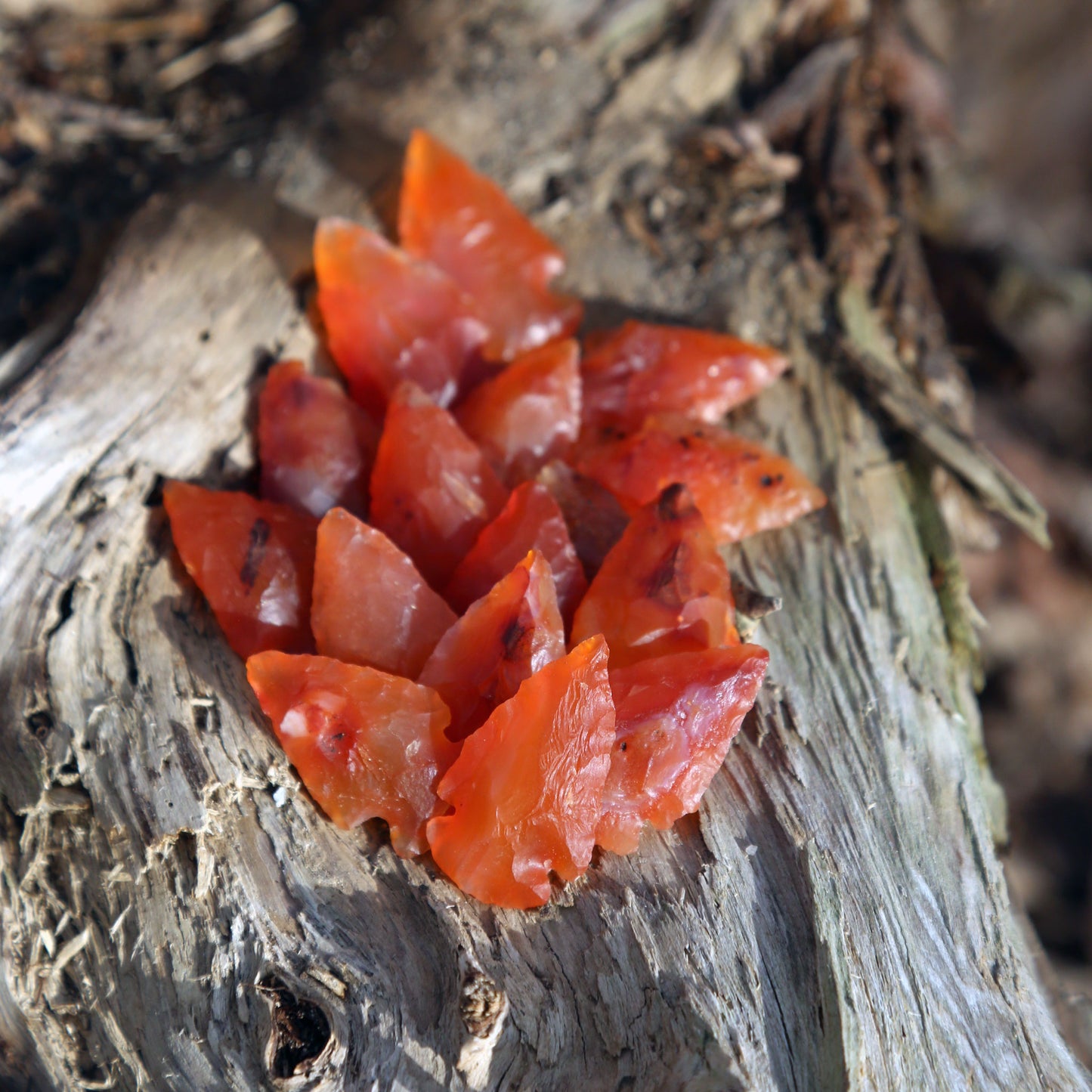 Carnelian Arrowheads