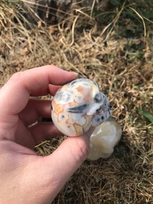 Crazy Lace Agate Skull