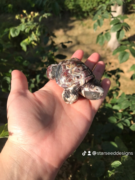 Mexican Crazy Lace Agate Turtles
