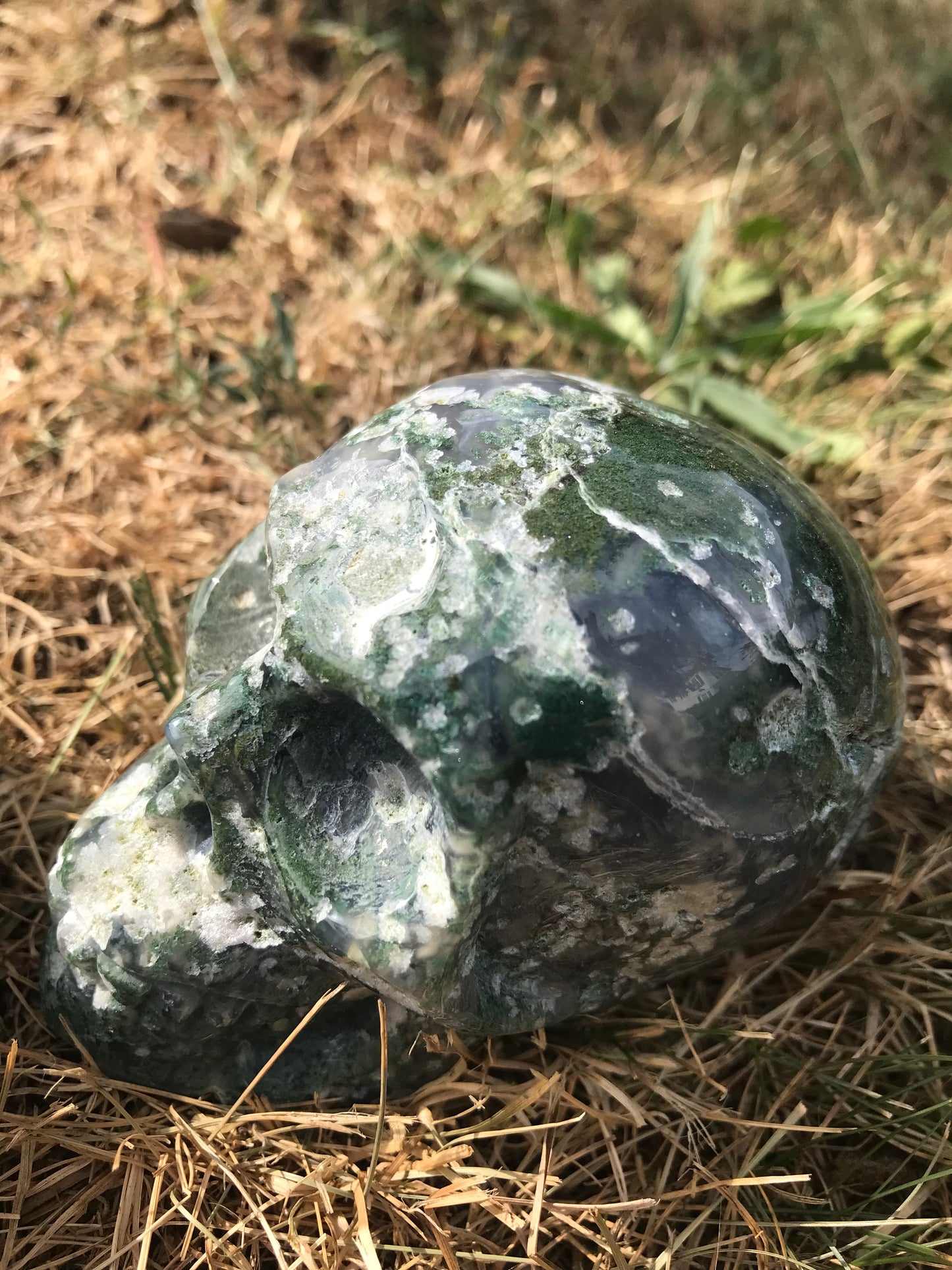 Moss Agate skull