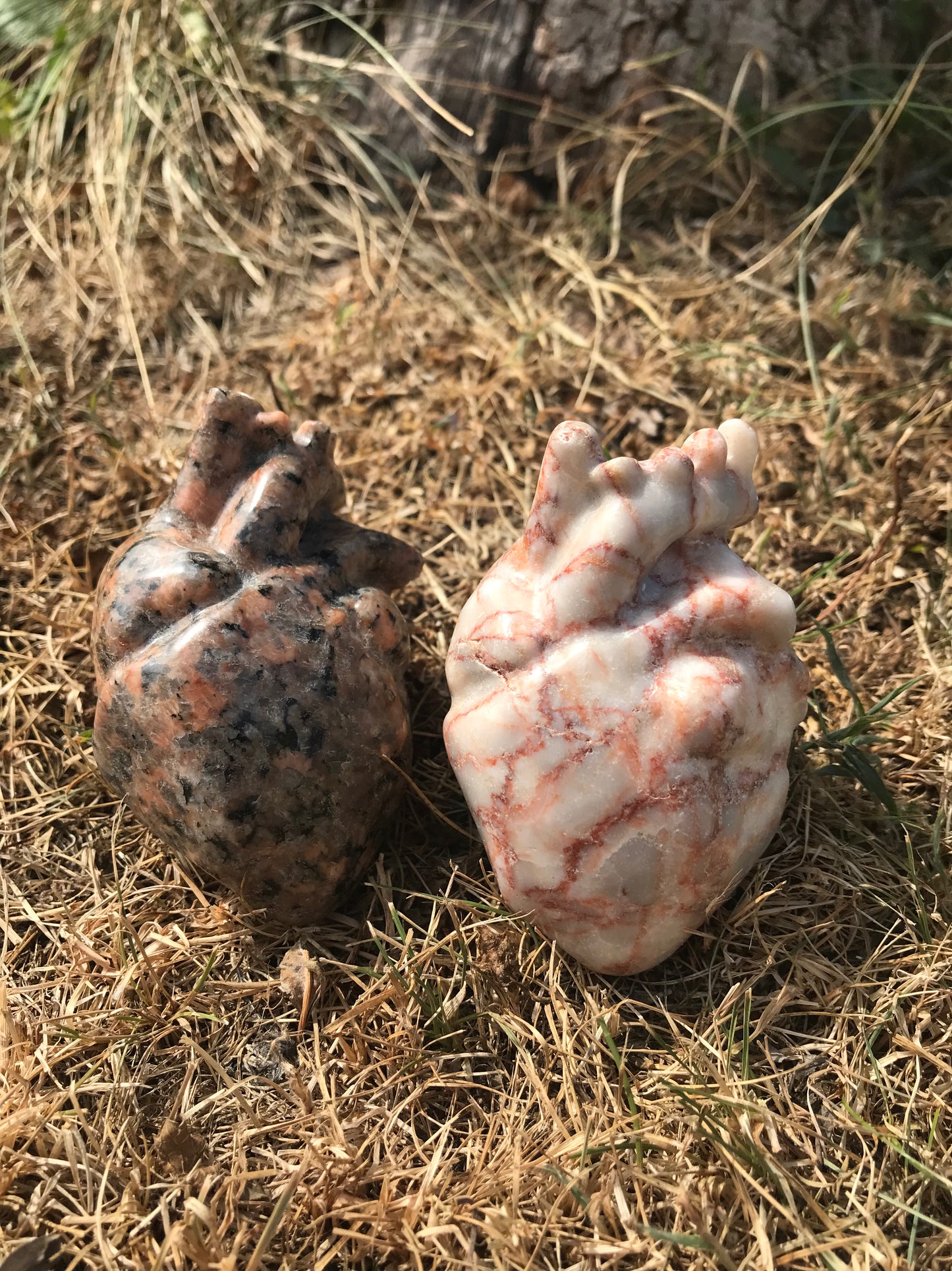 Red Network Jasper (Red Vein Jasper)  Human Heart