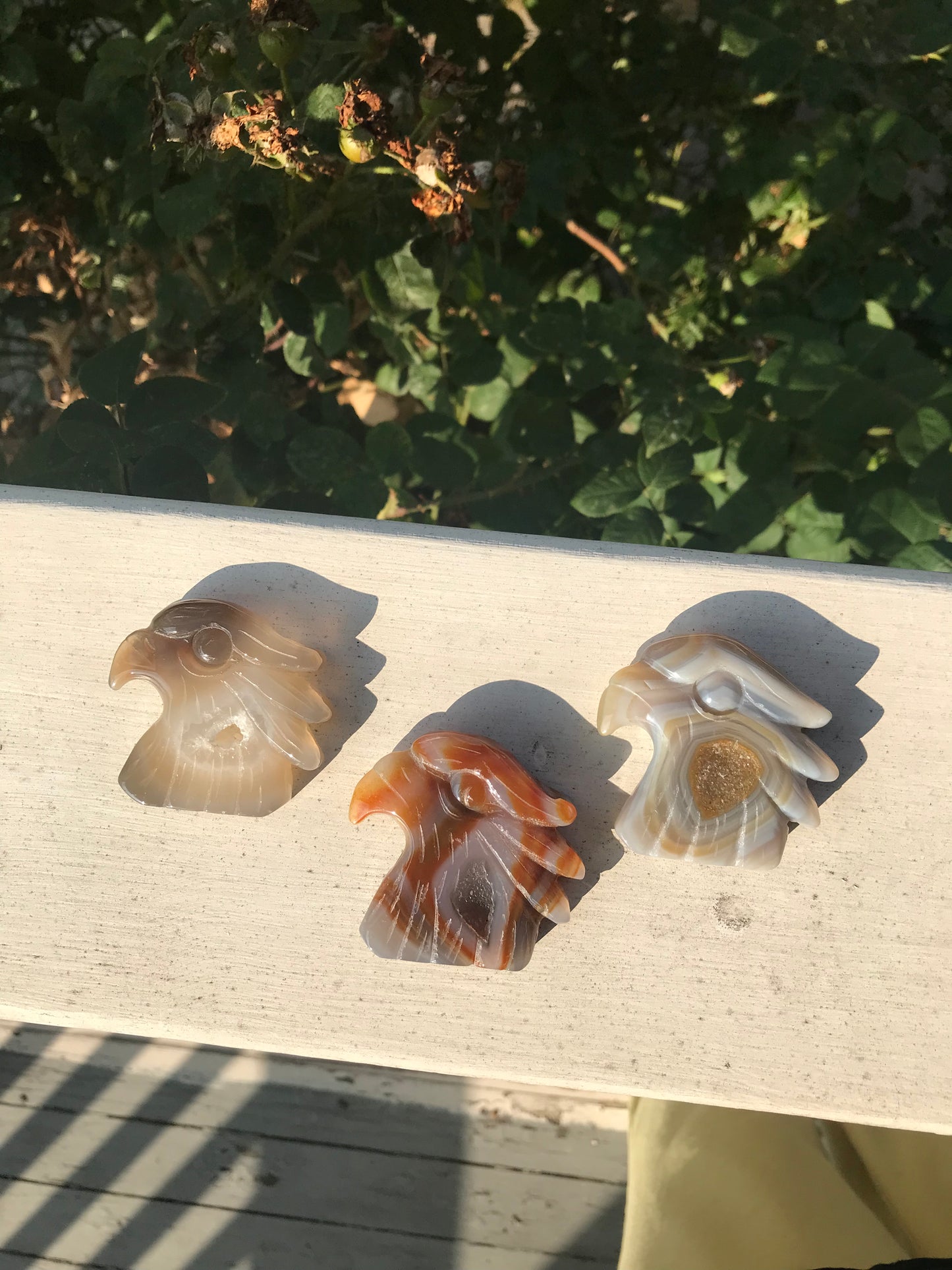 Druzy Agate Eagle Heads