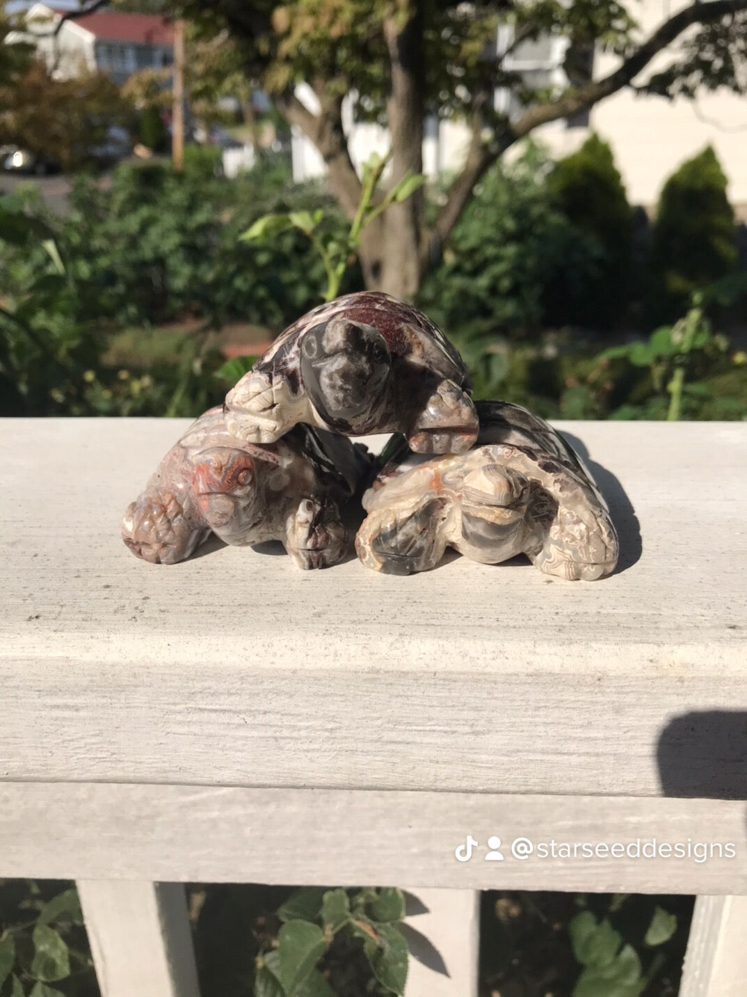 Mexican Crazy Lace Agate Turtles