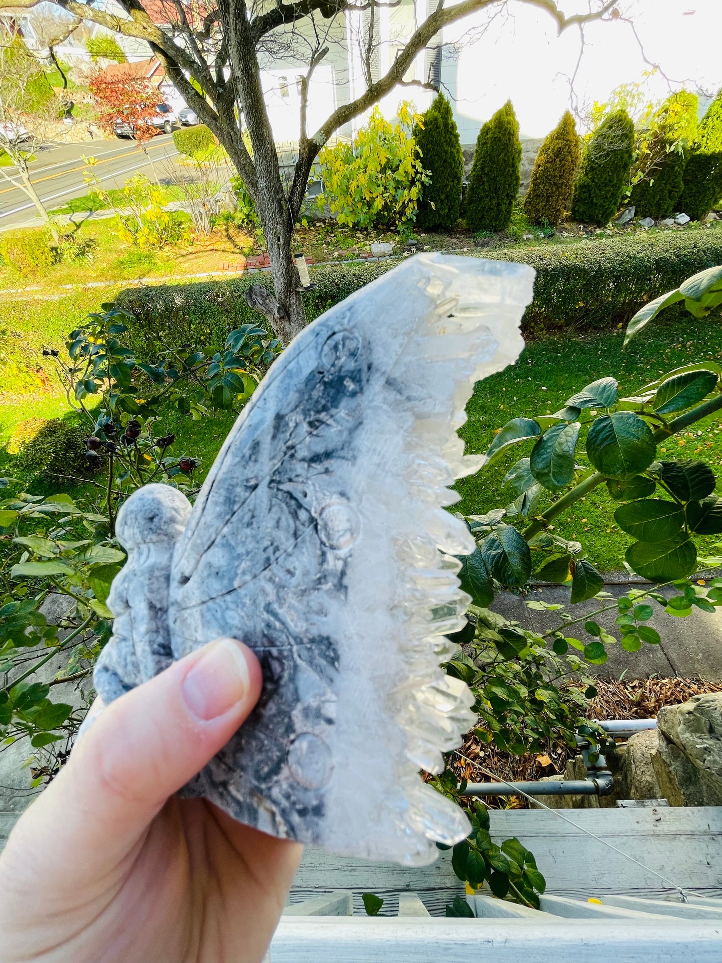 Sphalerite Fairy with Clear Quartz Cluster Inclusion