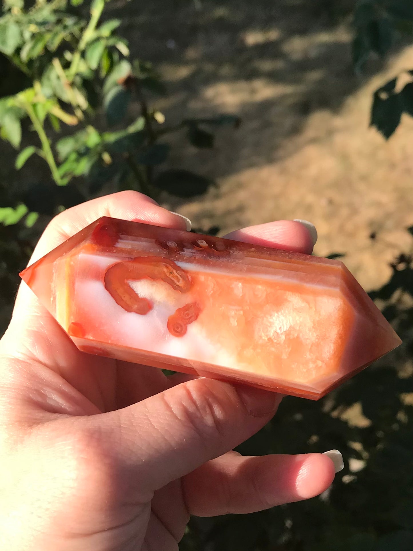 Carnelian Double Point