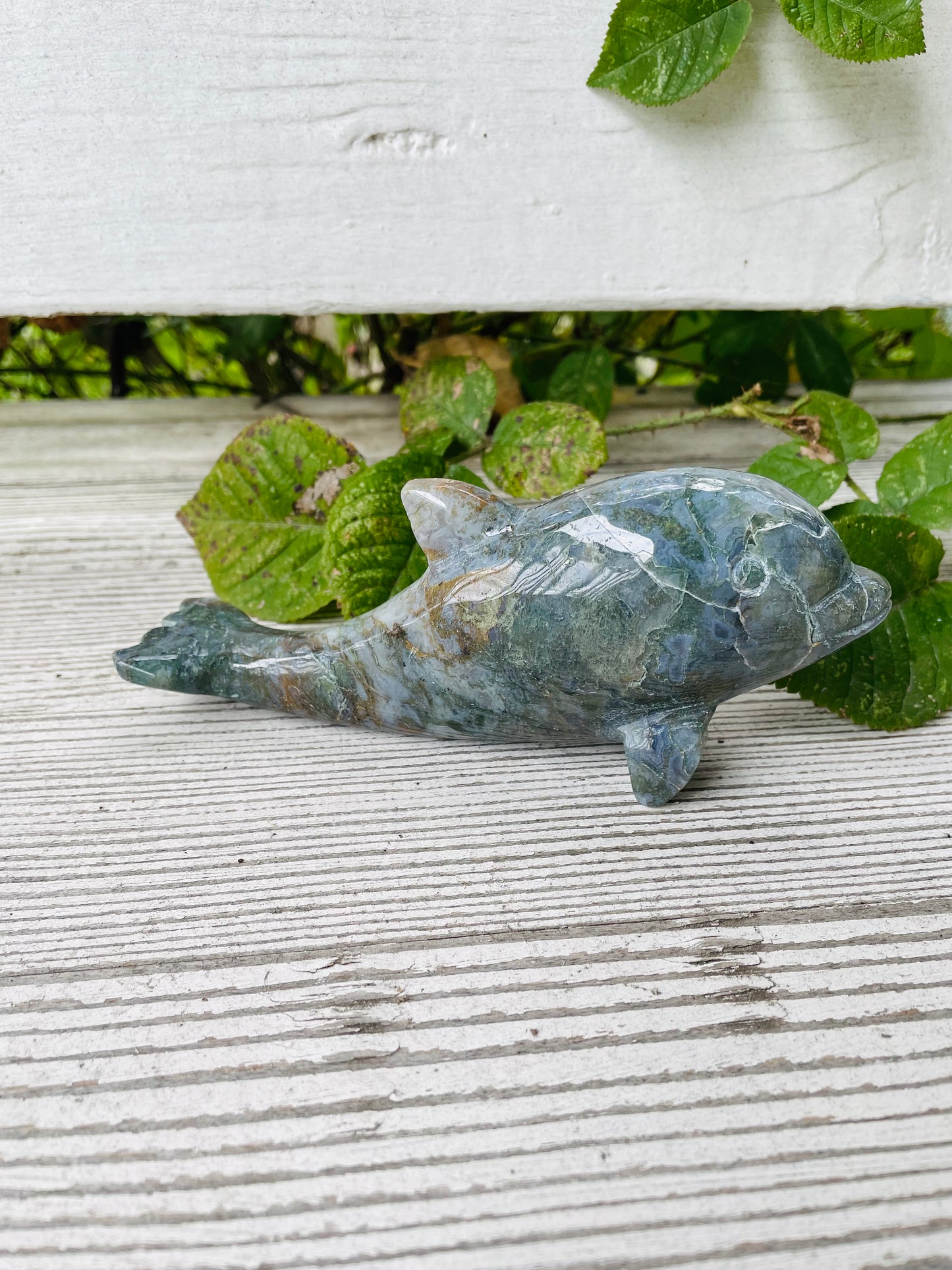 Moss Agate Dolphin