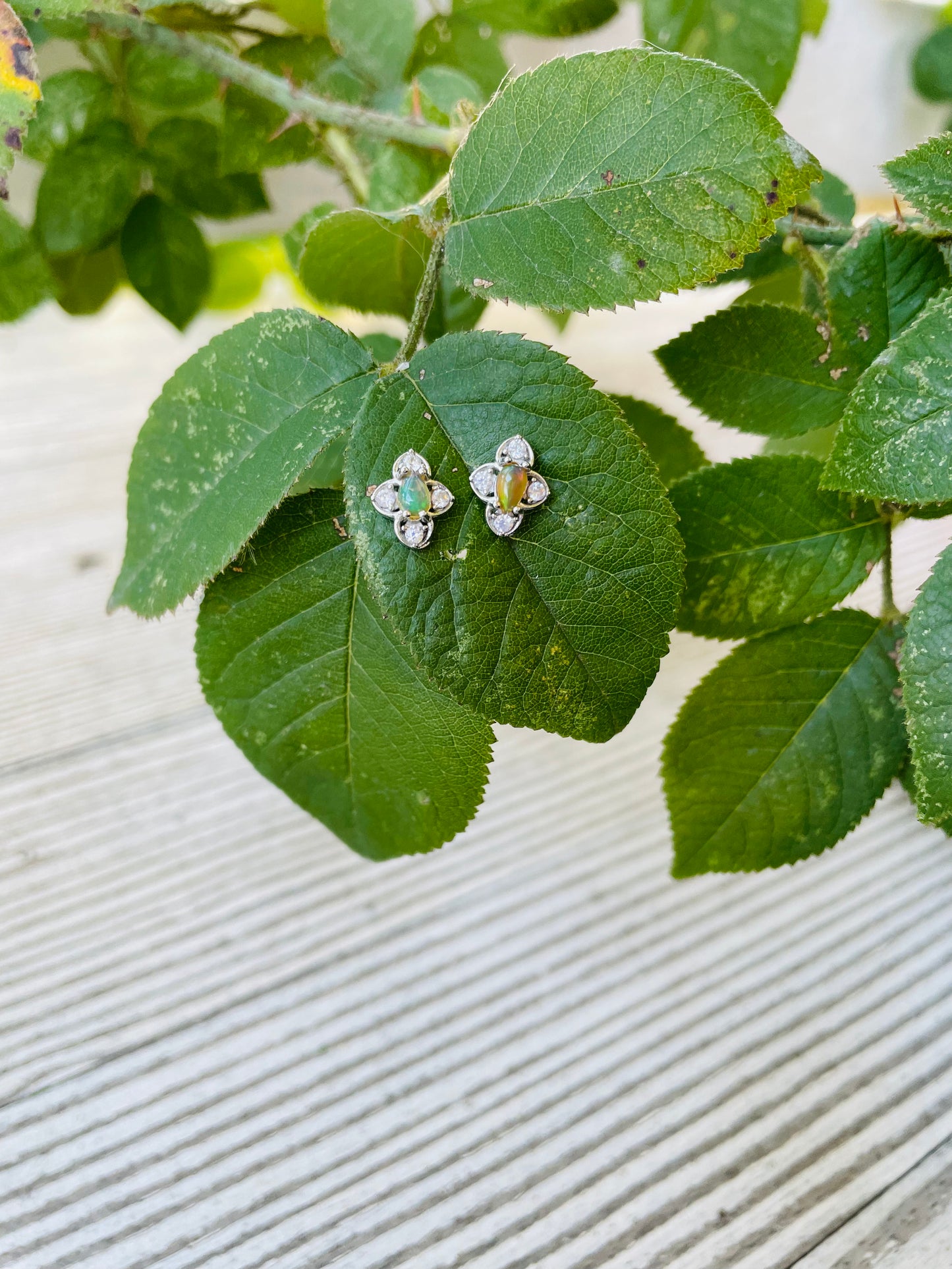 Opal Earrings