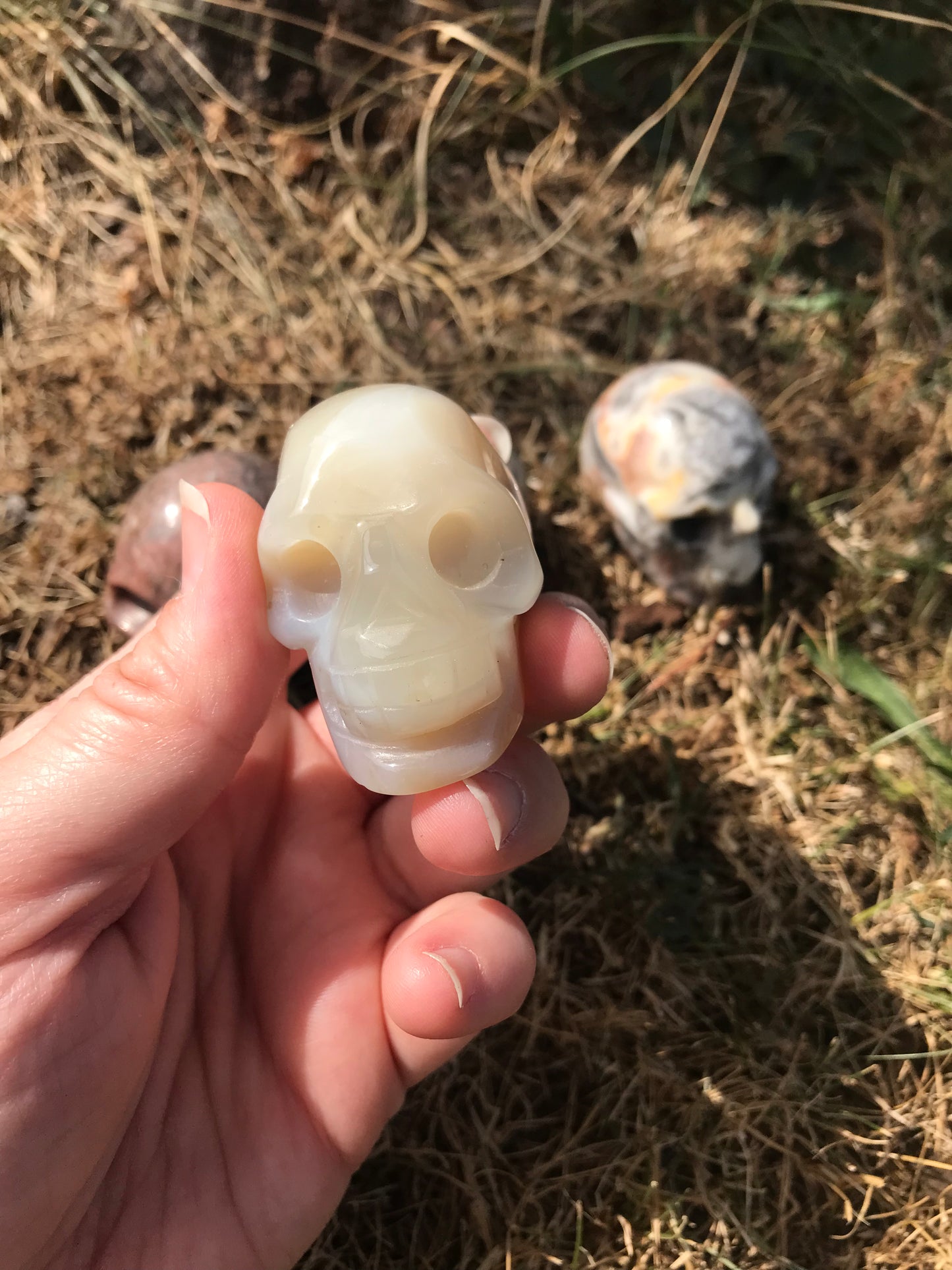 Agate Skull