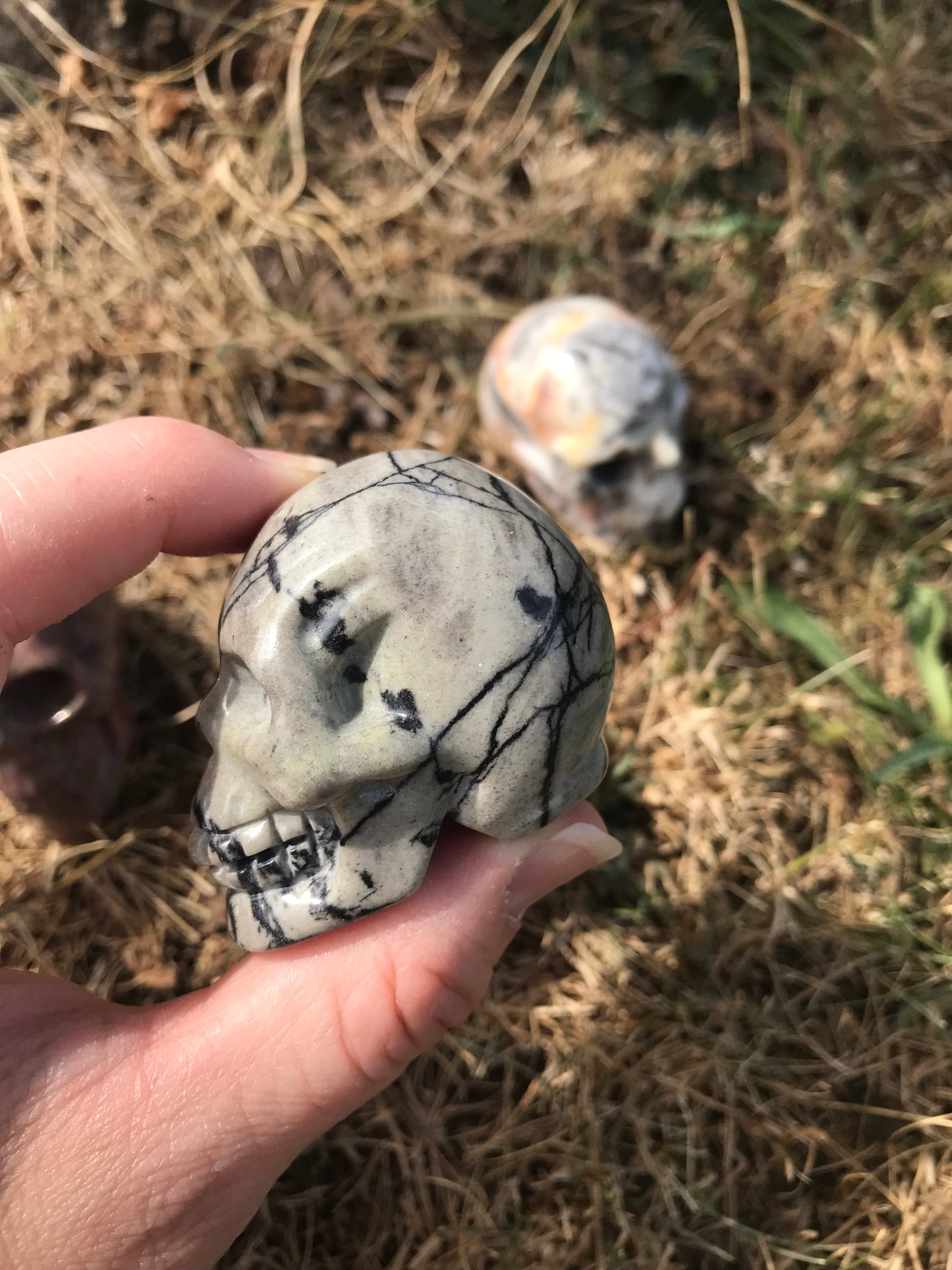 Spider Web Jasper Skull