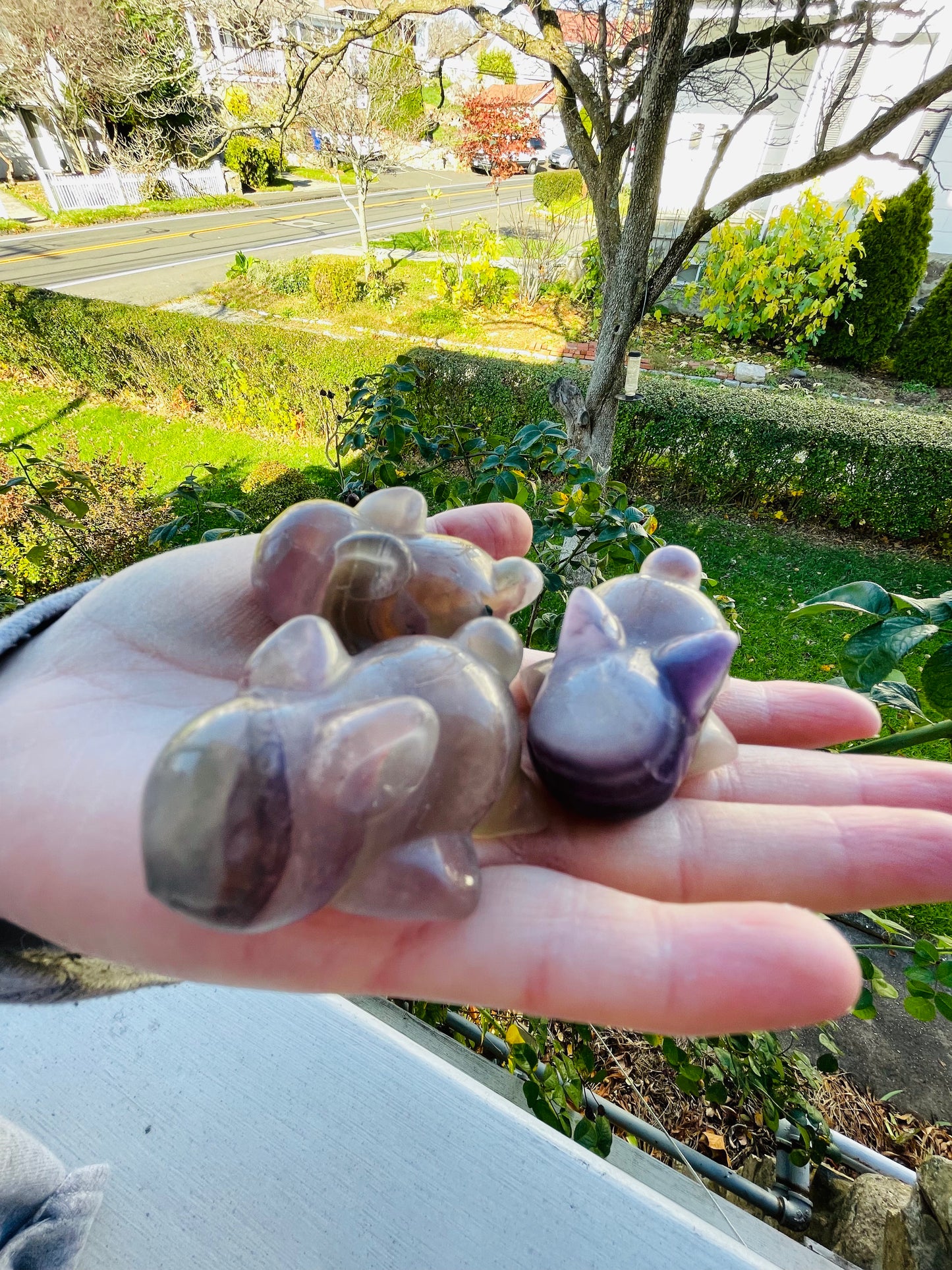 Sleeping Fluorite Bunnies