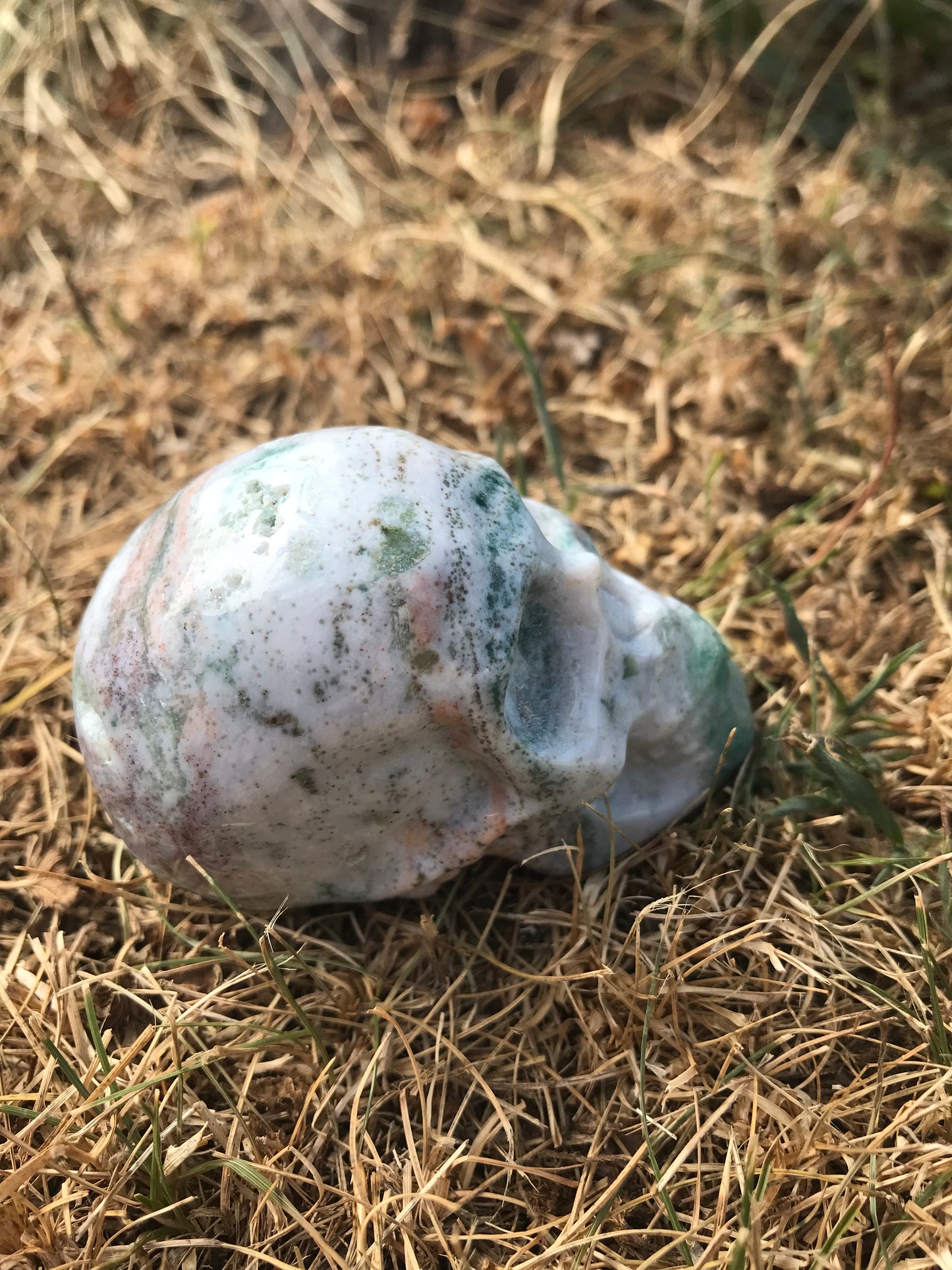 Oceanic Jasper (oj) Skull