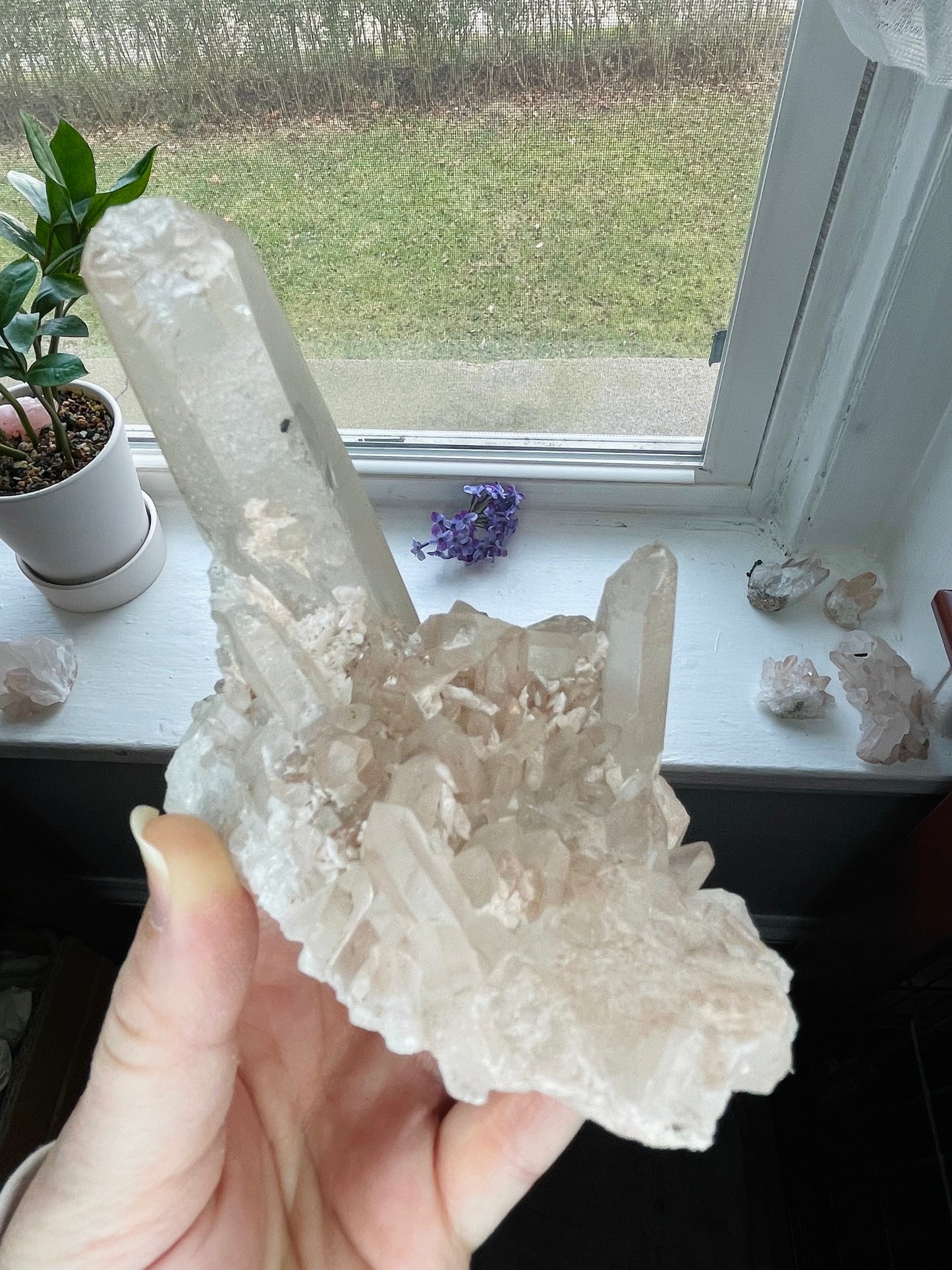 Clear Quartz Cluster