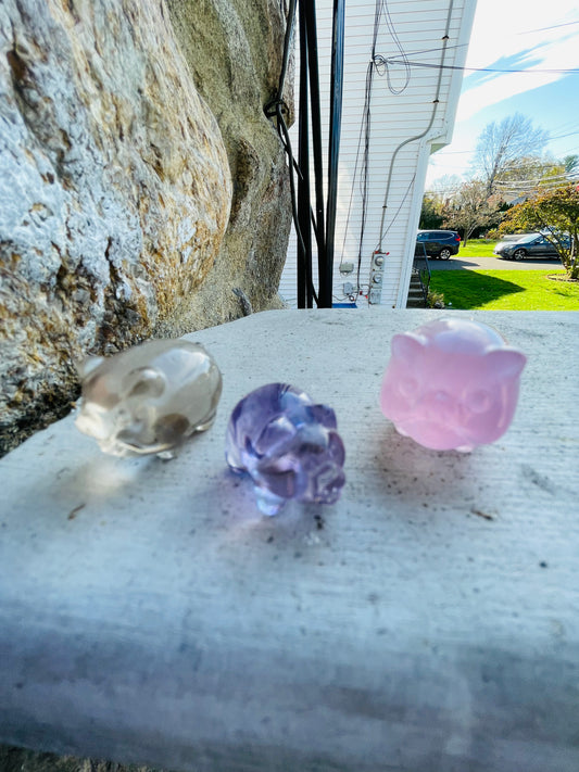 Crystal Pigs