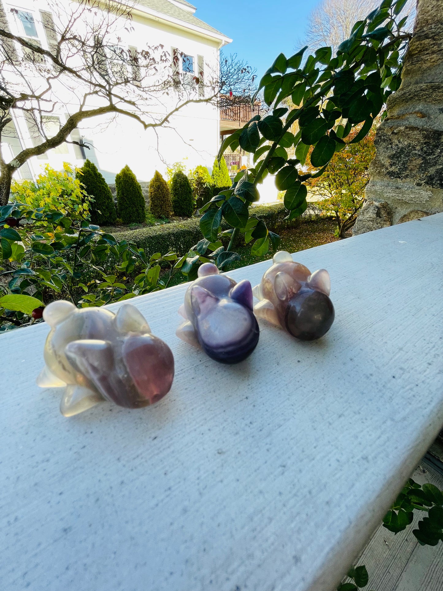 Sleeping Fluorite Bunnies