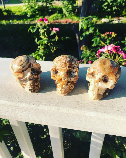 Druzy Chocolate Calcite Skulls
