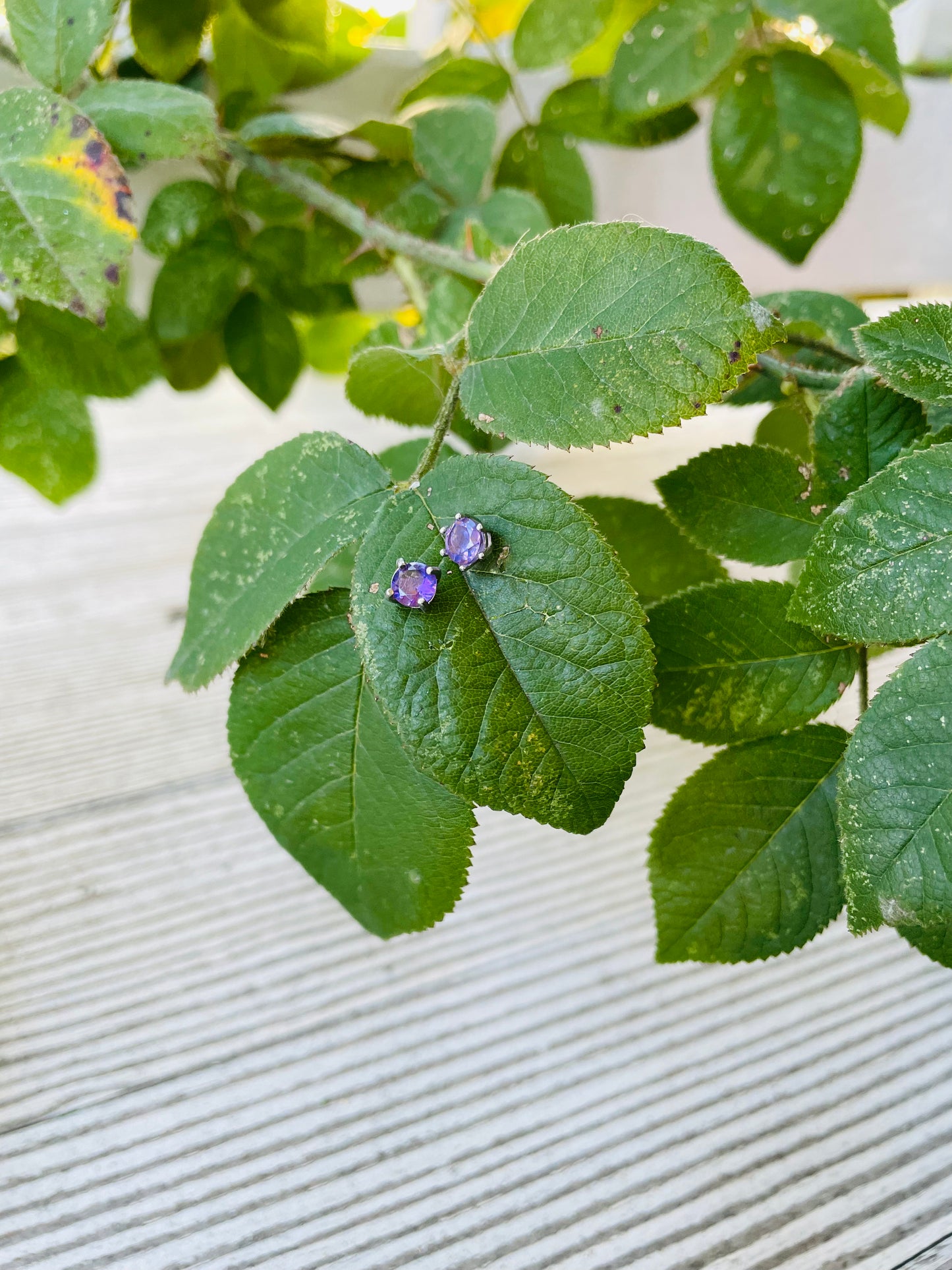 Amethyst Earrings