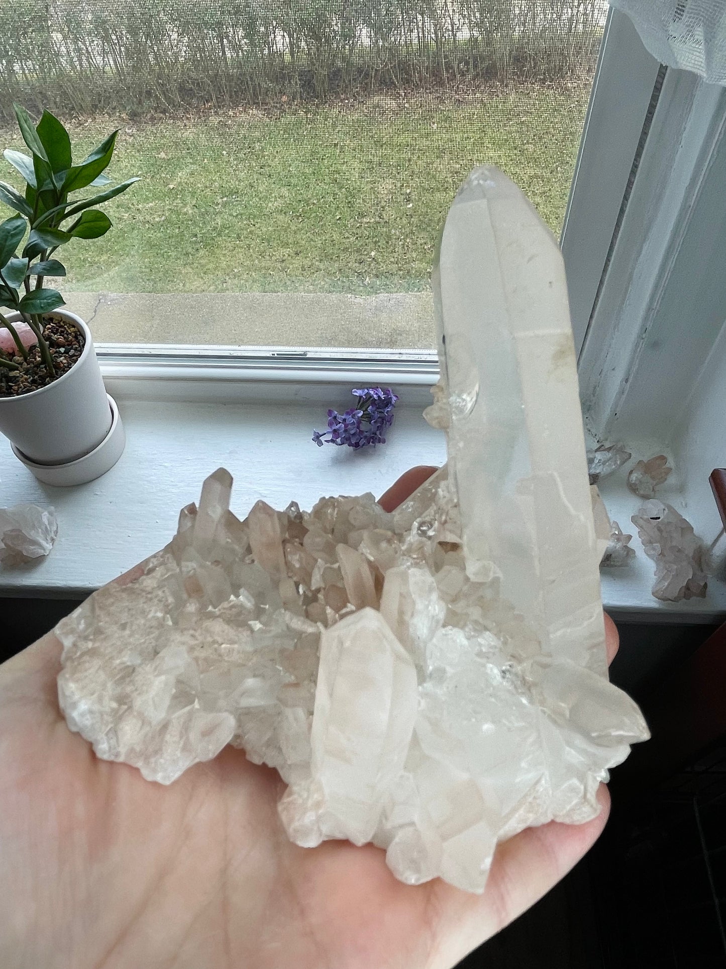 Clear Quartz Cluster