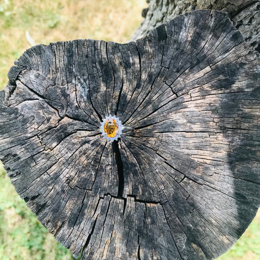 Citrine Rings