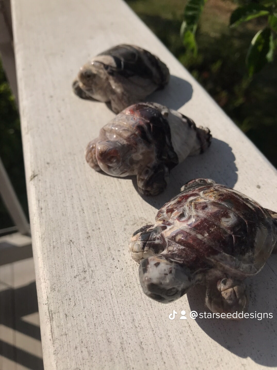 Mexican Crazy Lace Agate Turtles